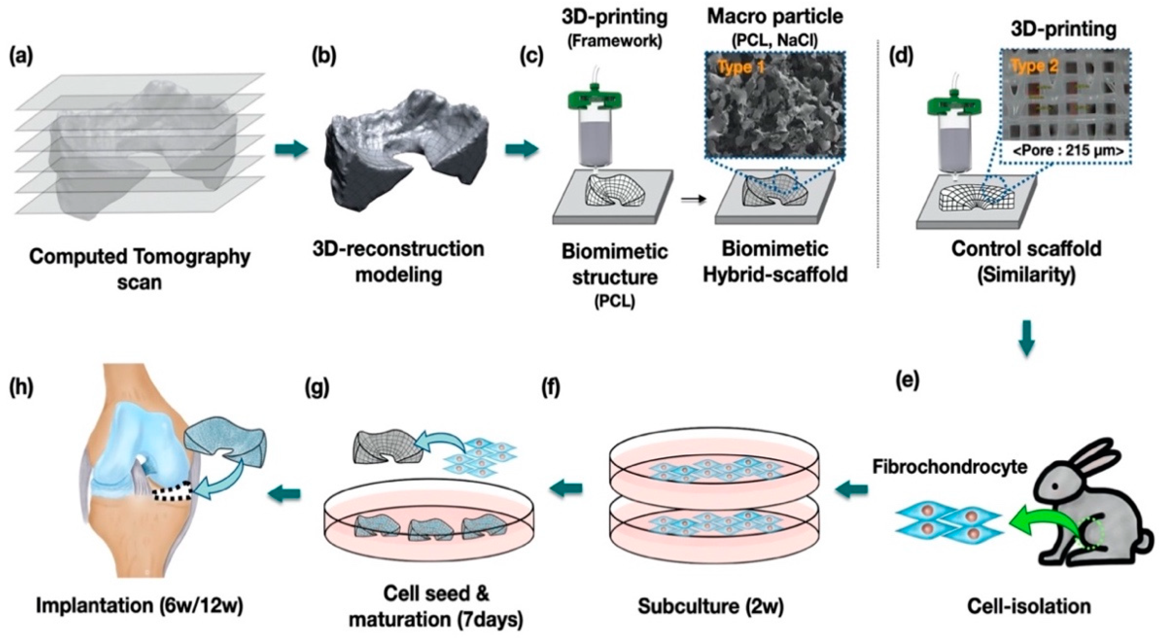 Polymers 13 01910 g001