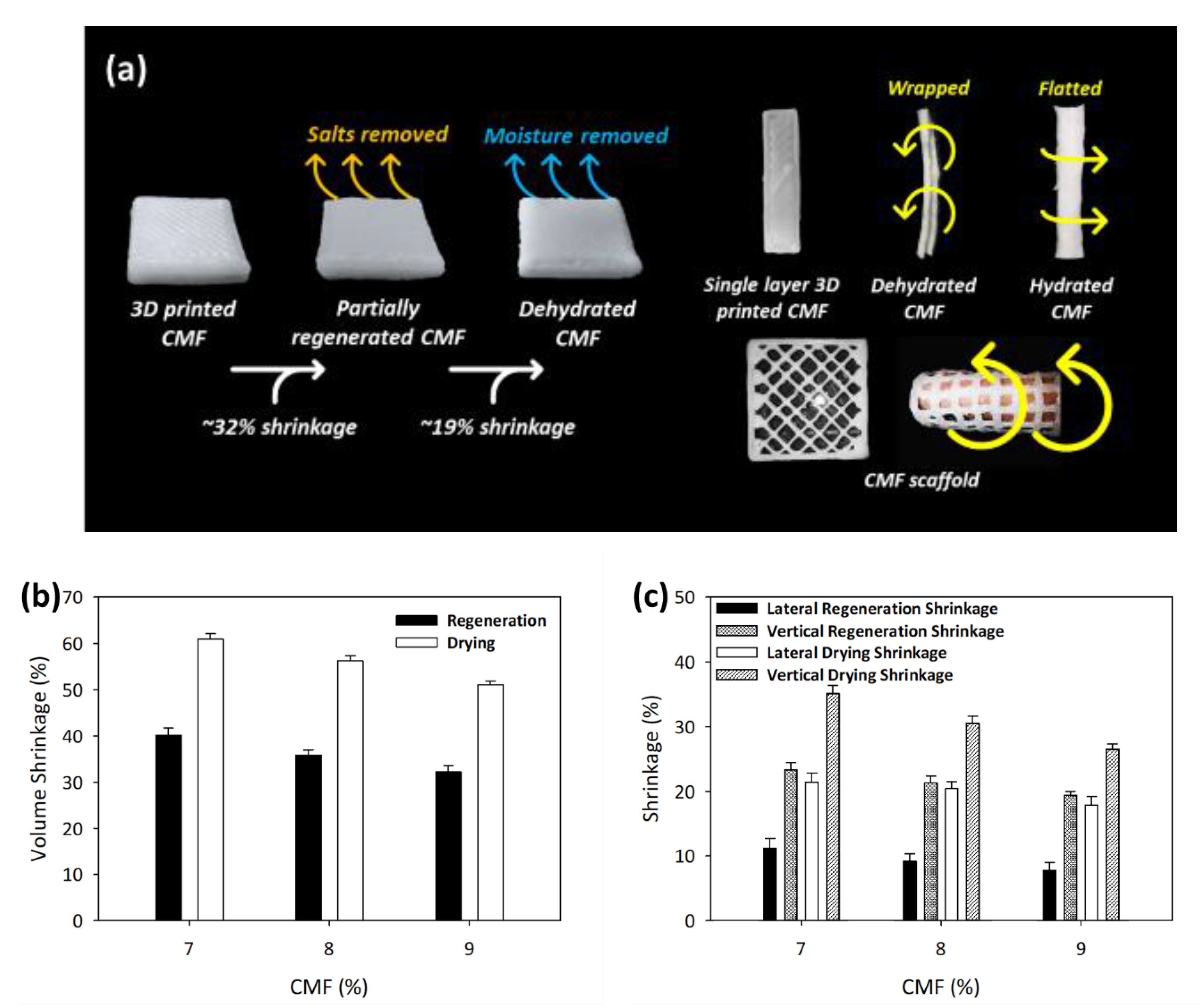 Polymers 13 01912 g003 Polymers 13 01912 g003