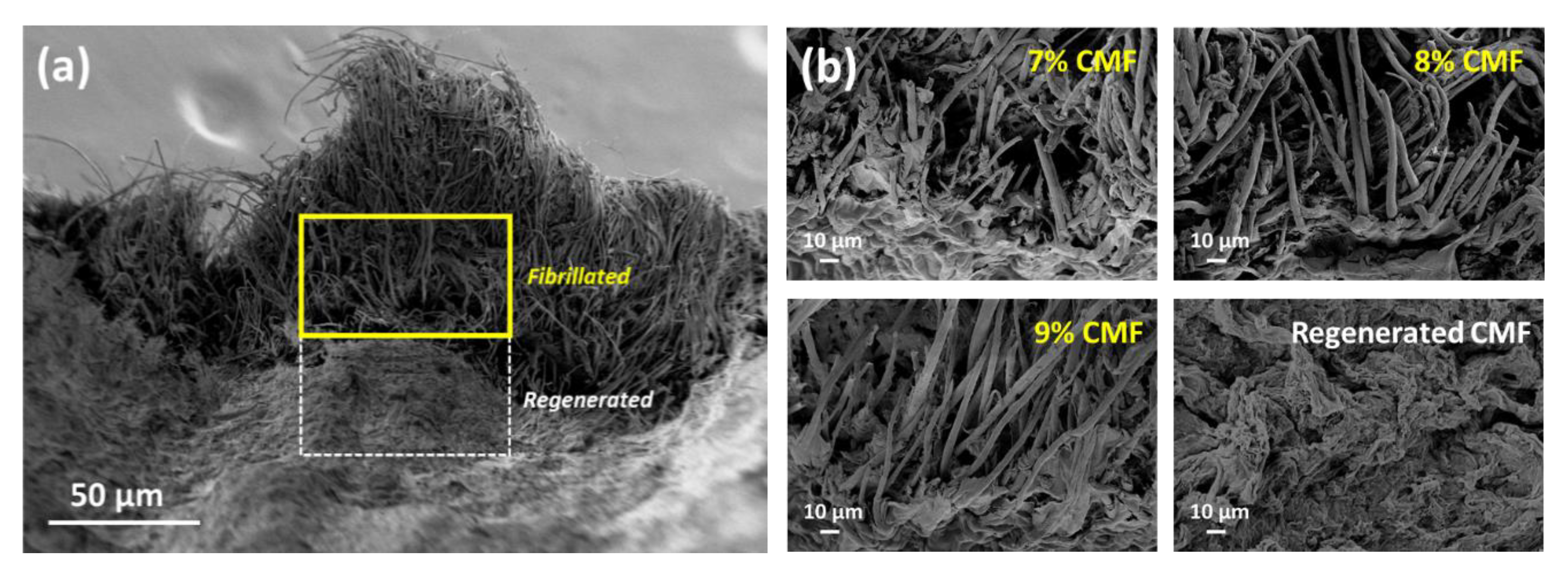 Polymers 13 01912 g005 Polymers 13 01912 g005