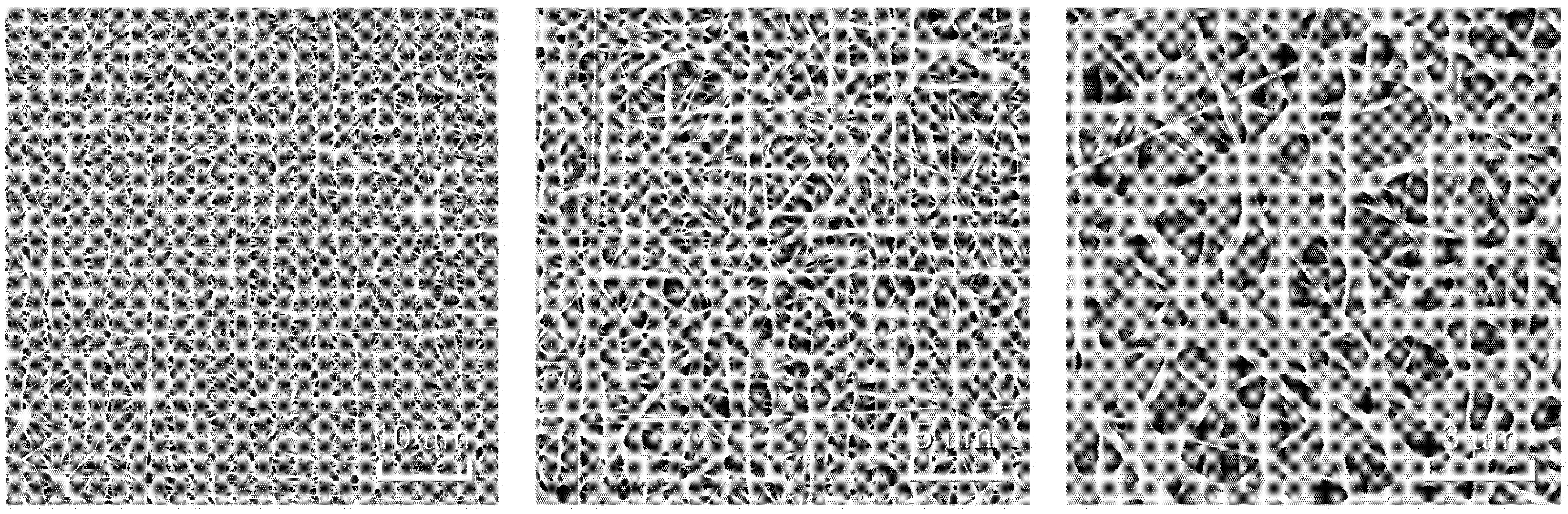 Polymers 13 01918 g002 Polymers 13 01918 g002