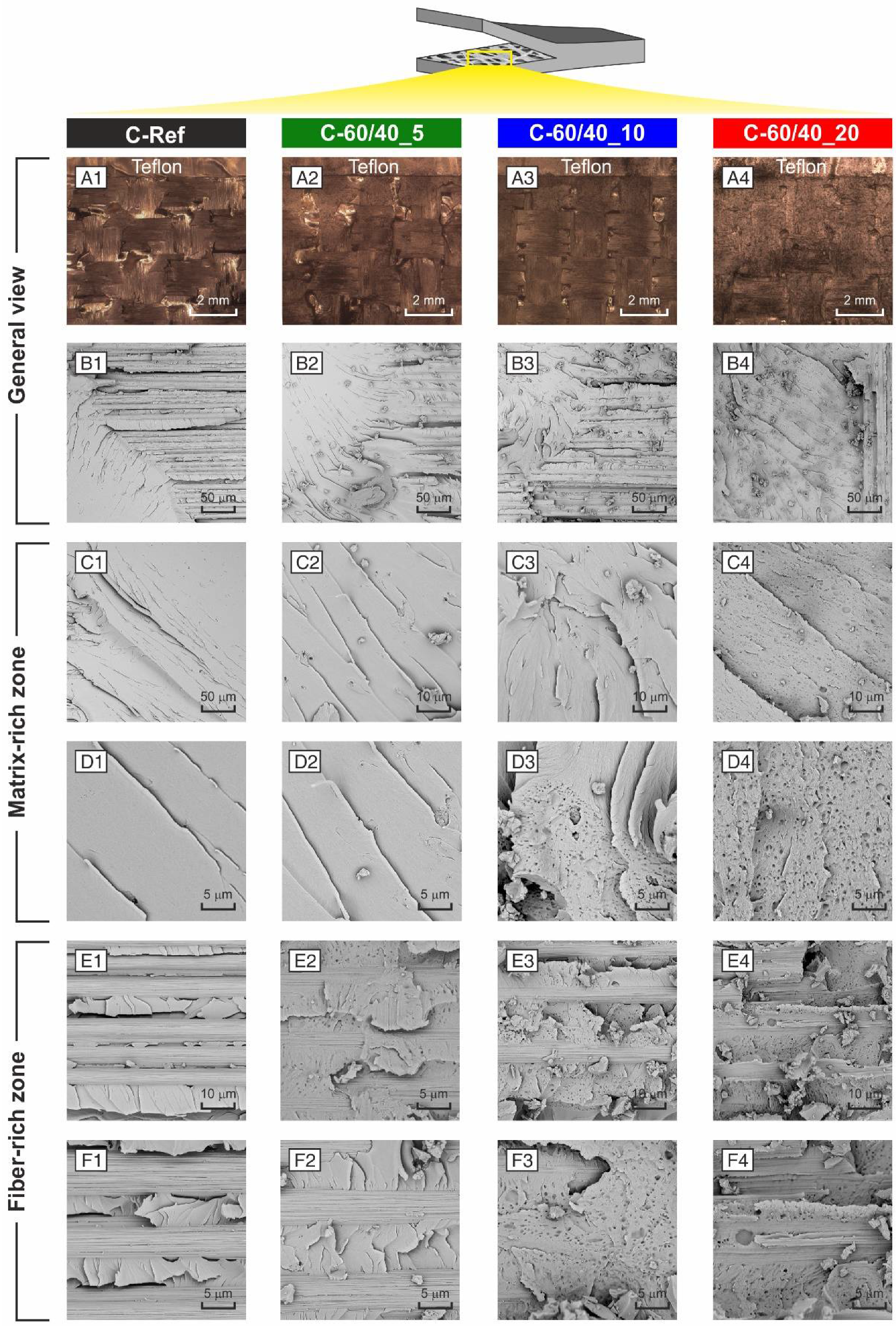 Polymers 13 01918 g015 Polymers 13 01918 g015