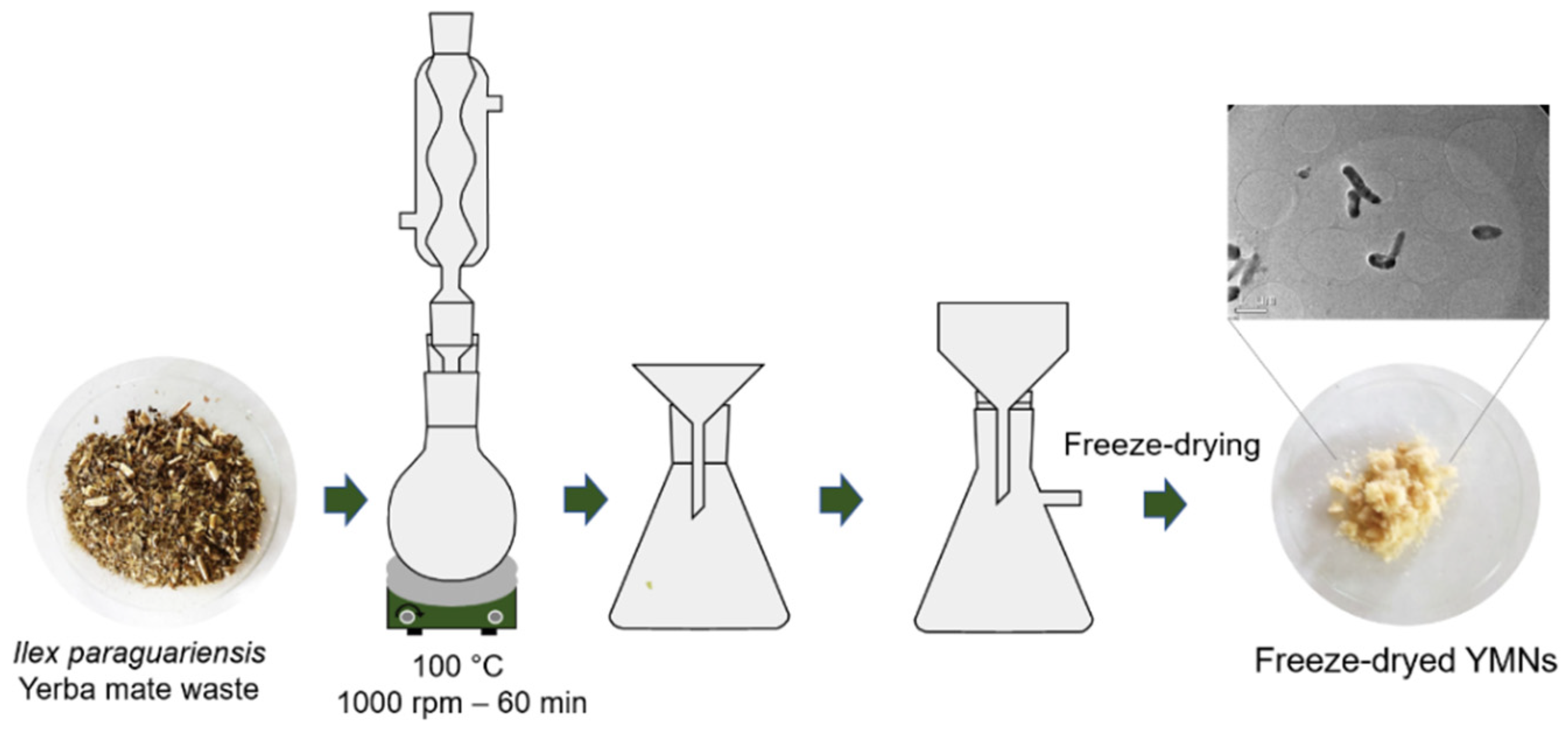 Polymers 13 01925 g001