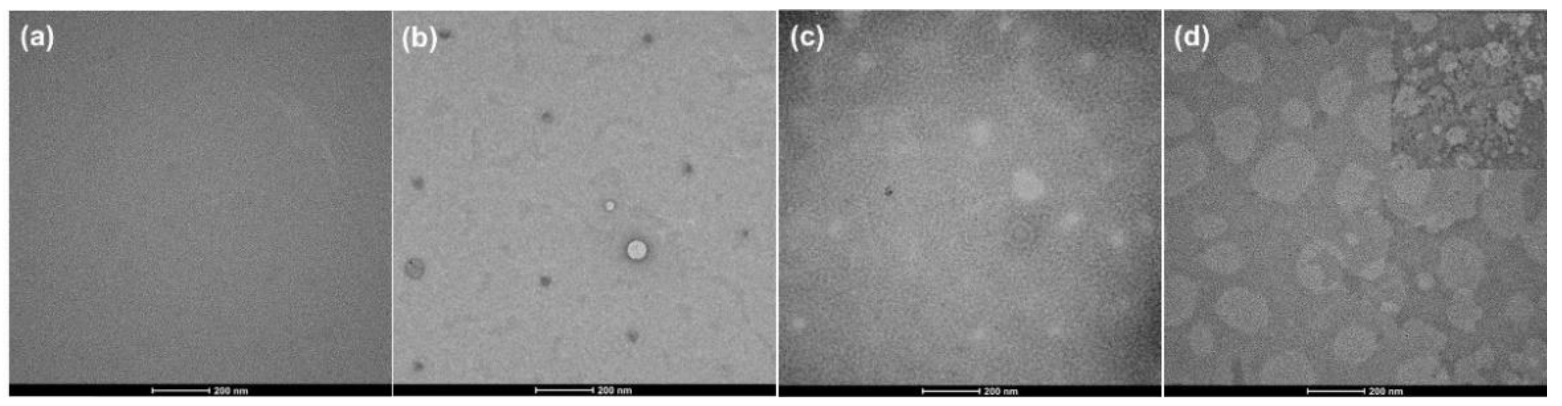 Polymers 13 01927 g005 Polymers 13 01927 g005