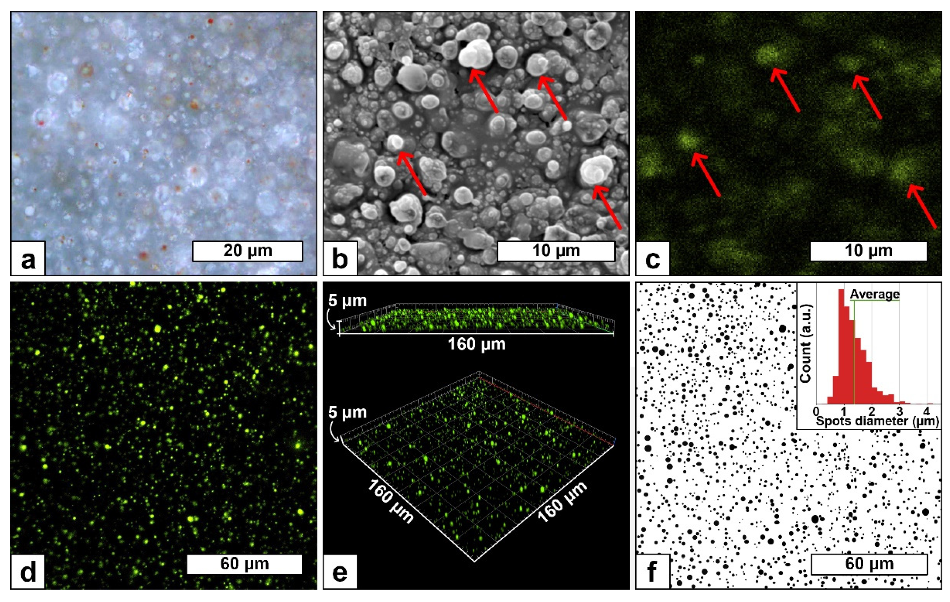 Polymers 13 01931 g003 Polymers 13 01931 g003