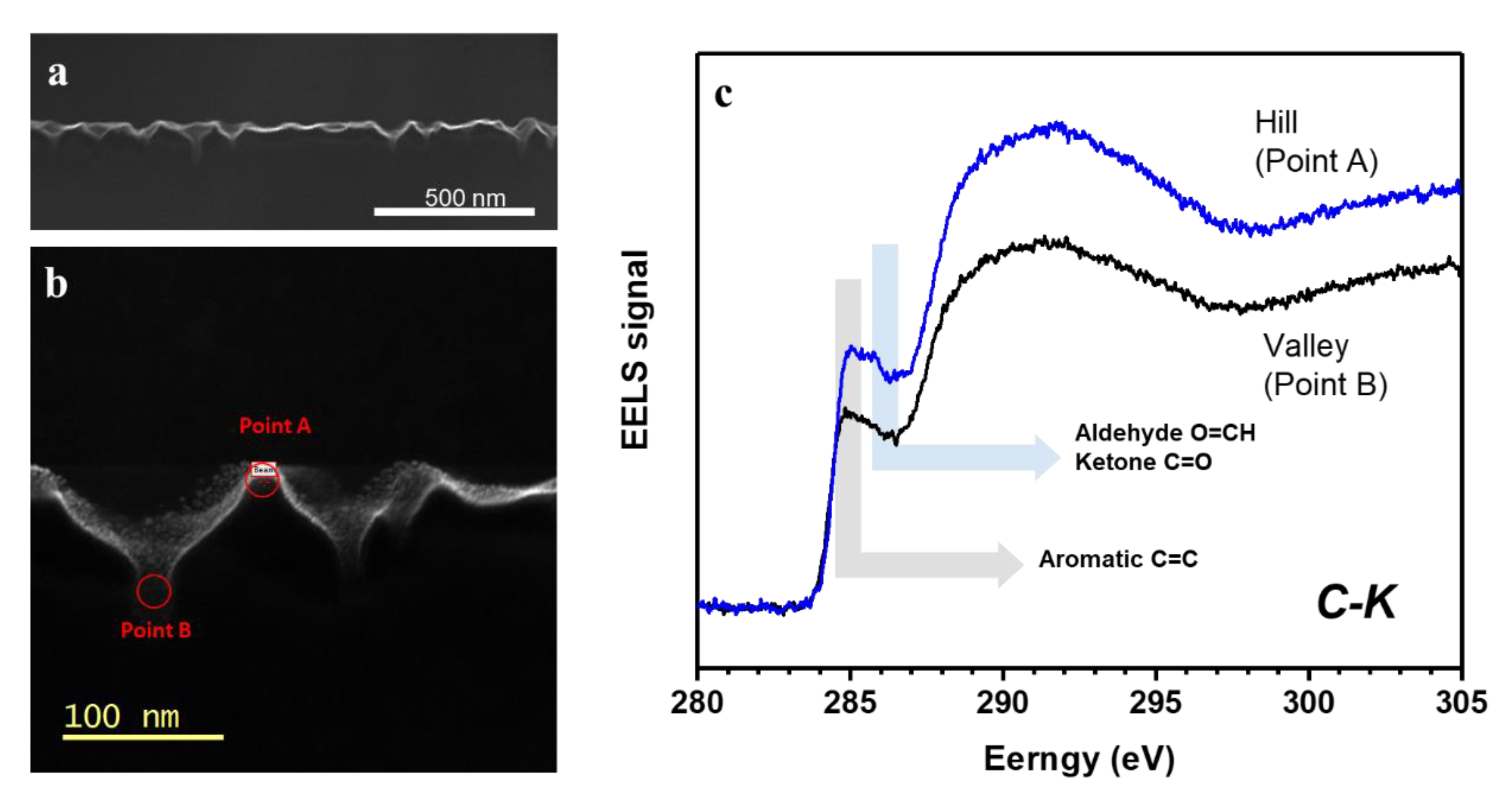 Polymers 13 01932 g002 Polymers 13 01932 g002