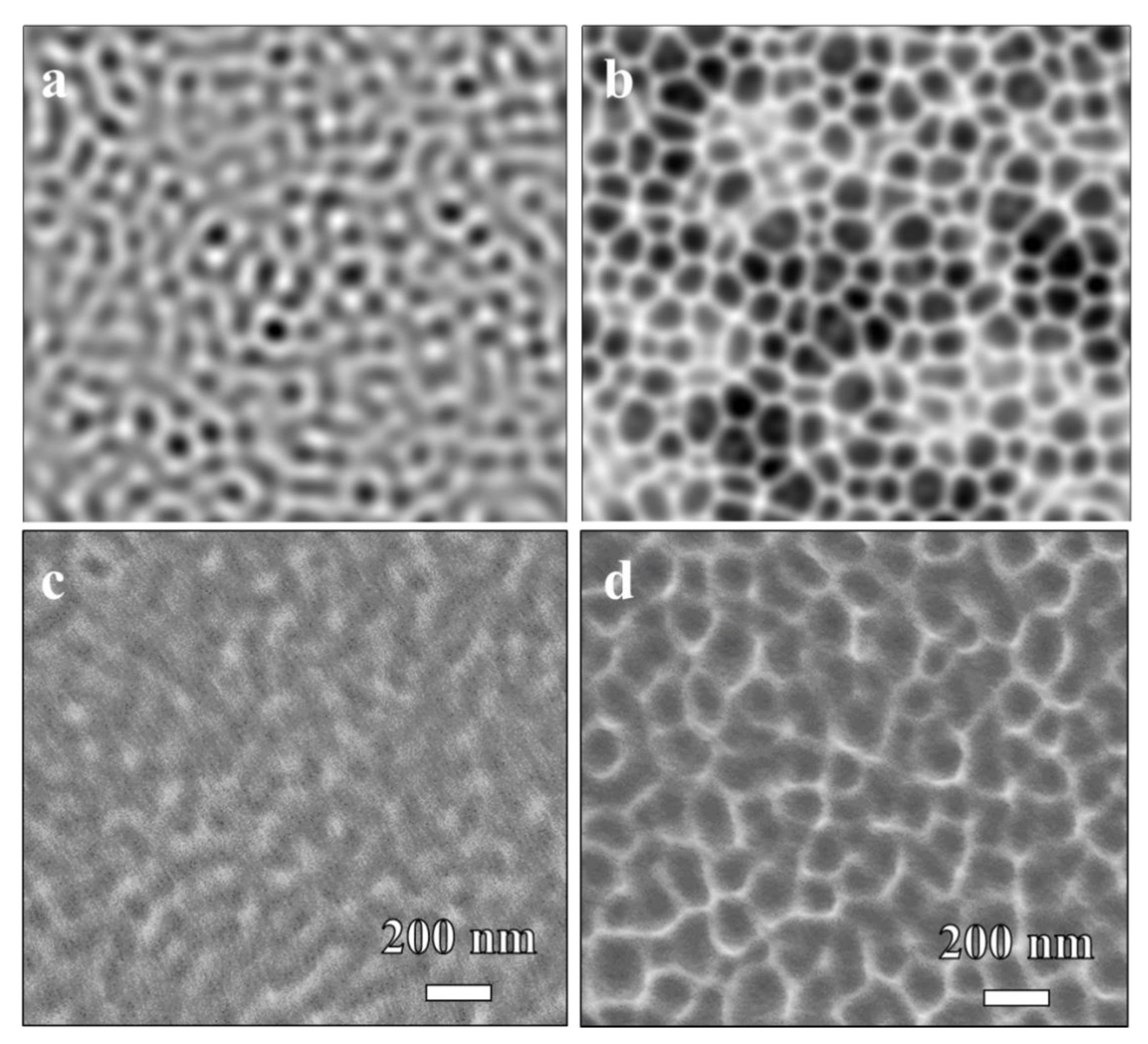 Polymers 13 01932 g003 Polymers 13 01932 g003
