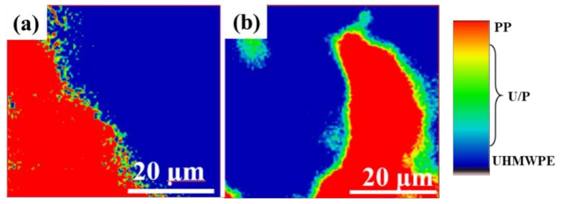 Polymers 13 01933 g005