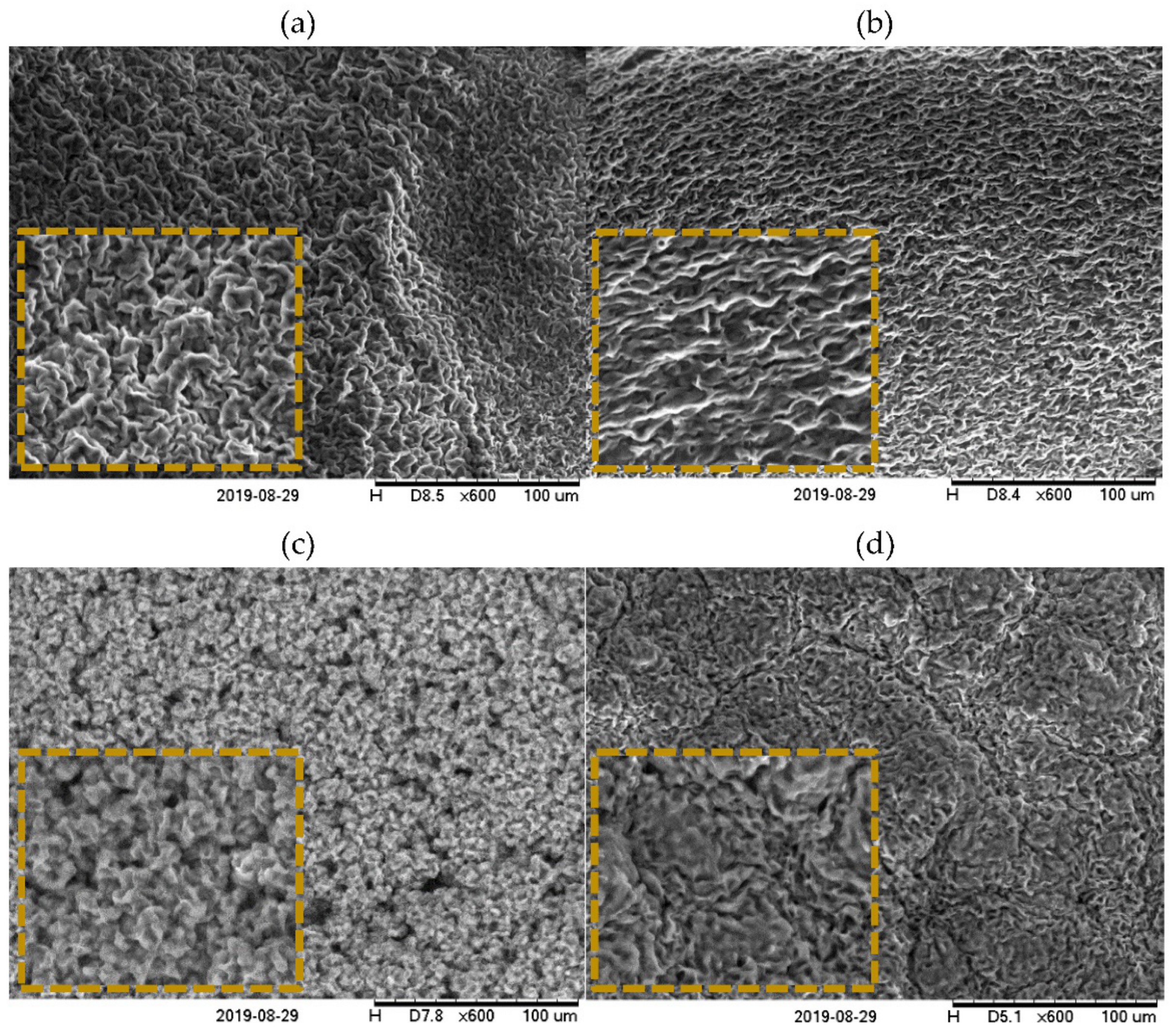 Polymers 13 01934 g002