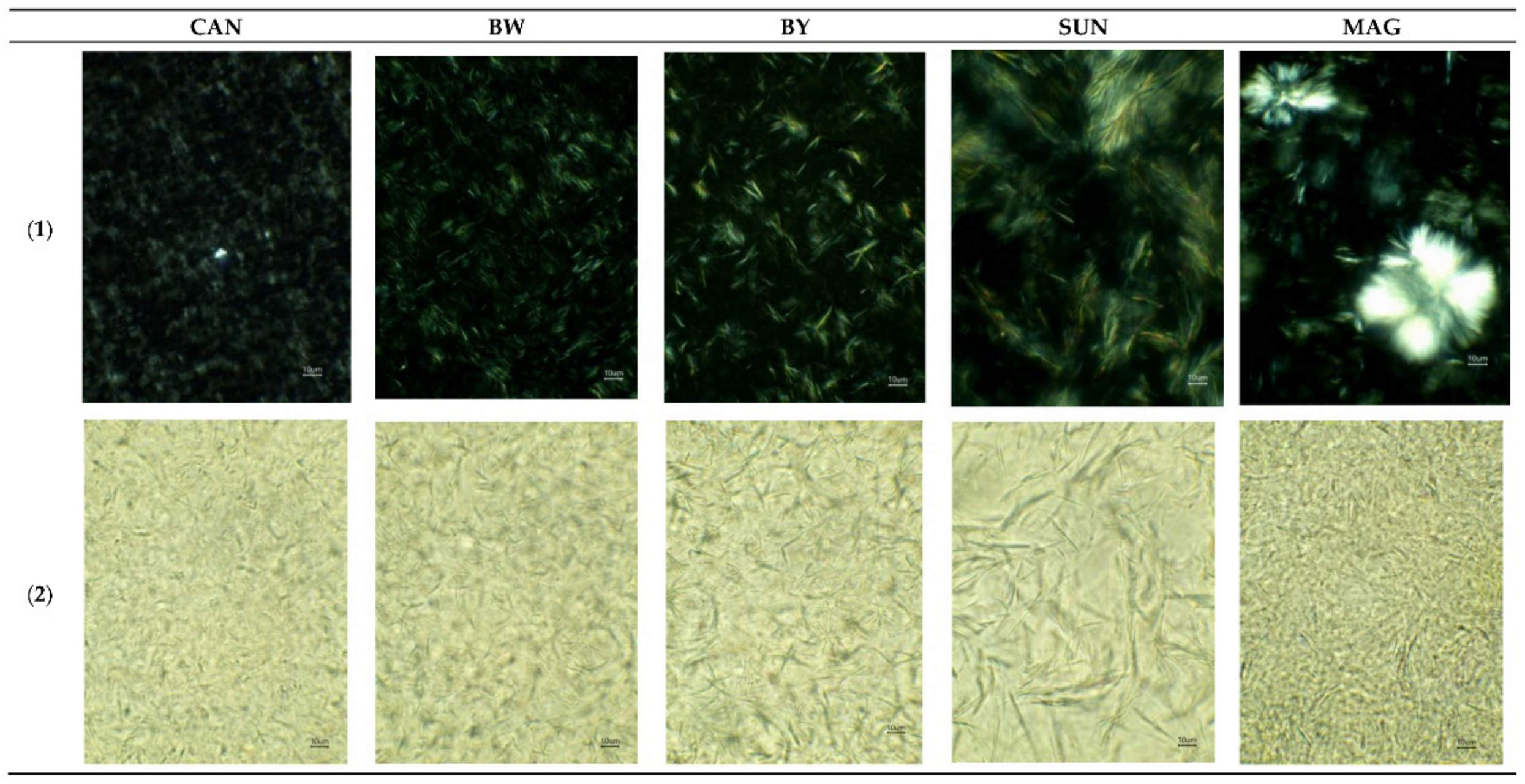 Polymers 13 01934 g003