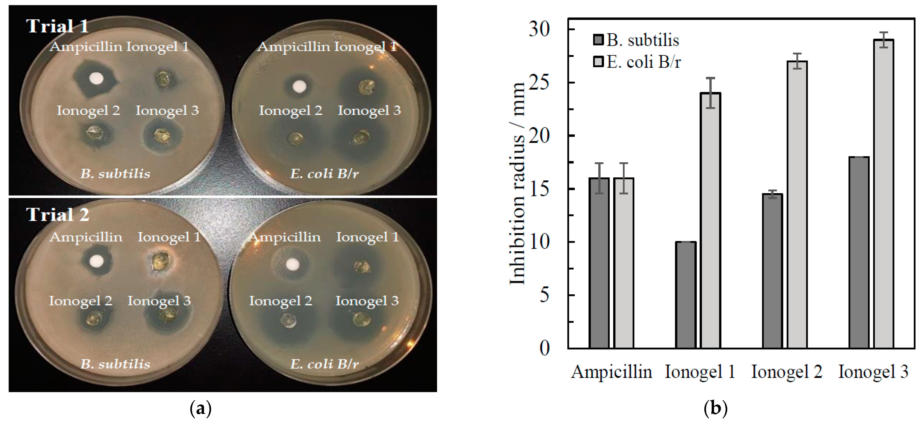 Polymers 13 01942 g005