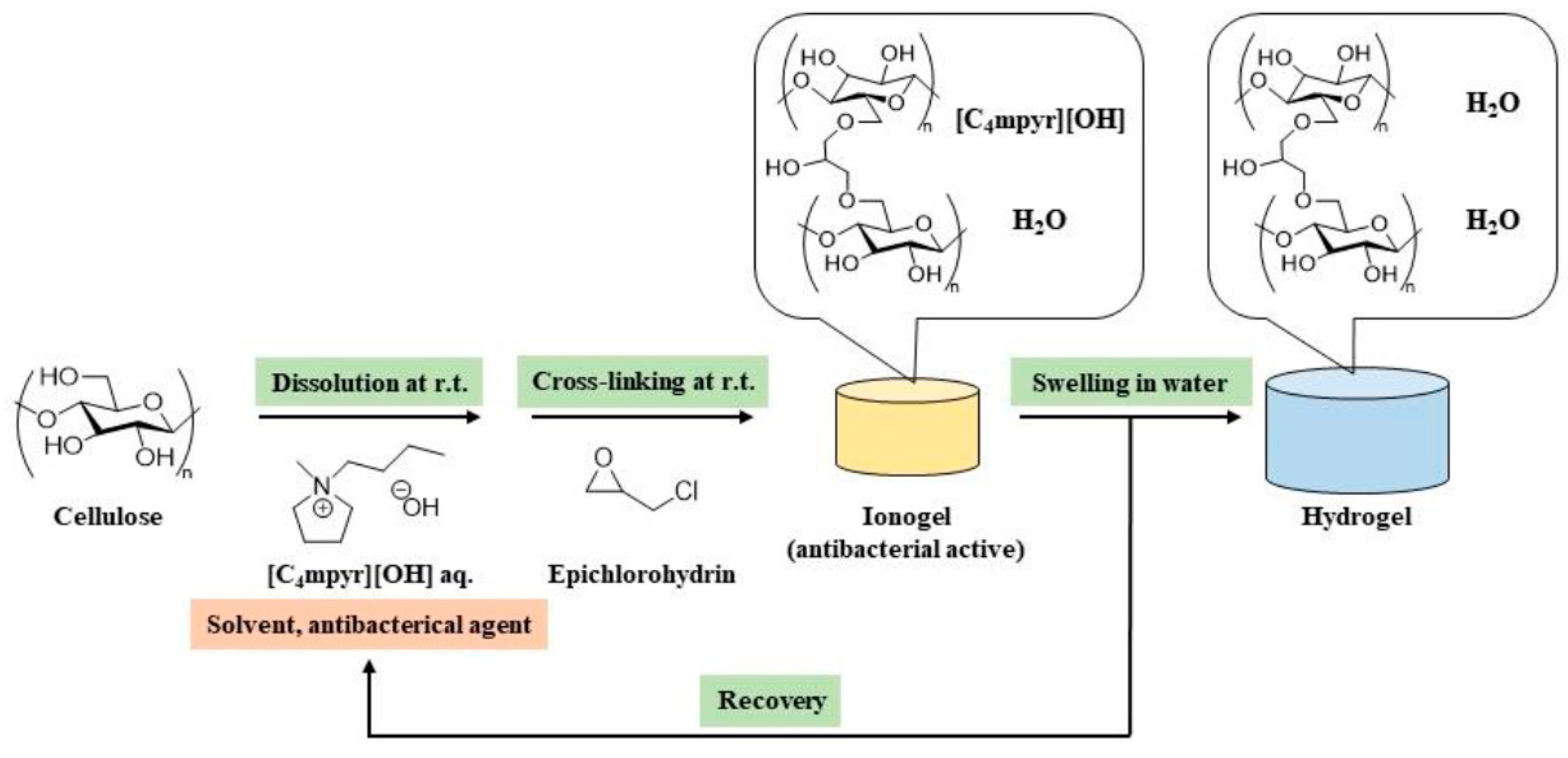 Polymers 13 01942 sch001