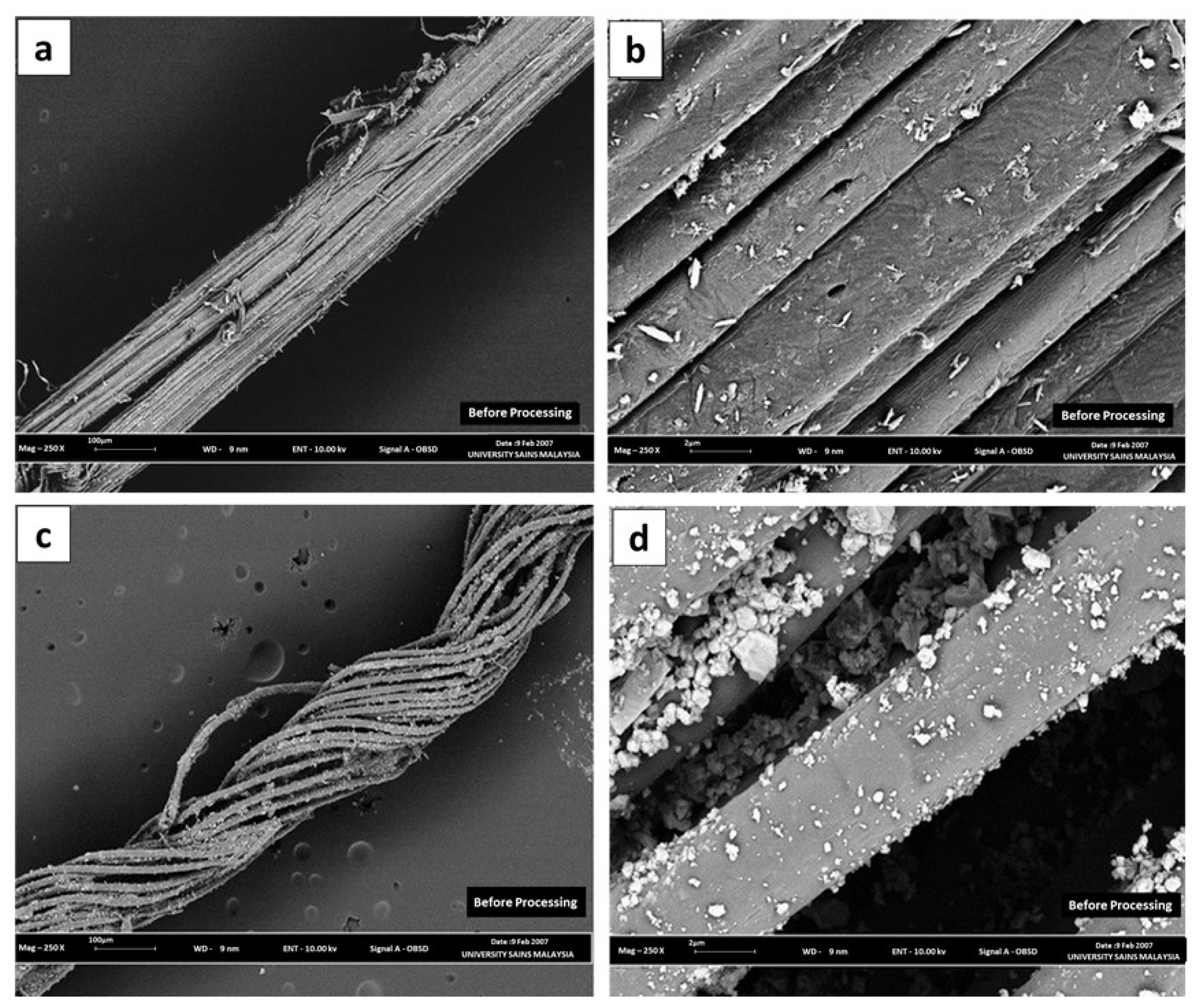 Polymers 13 01943 g002