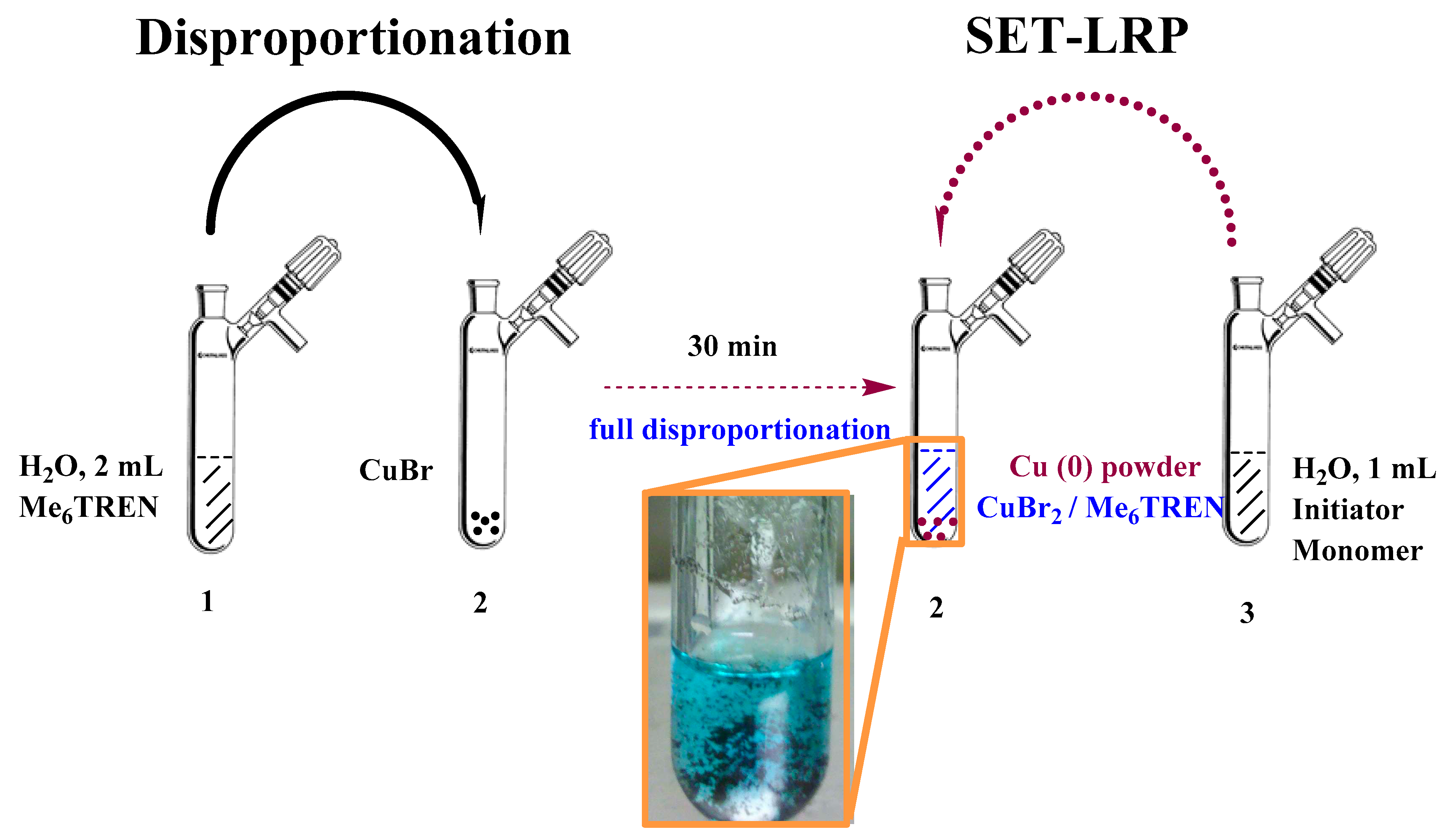 Polymers 13 01947 sch001 Polymers 13 01947 sch001
