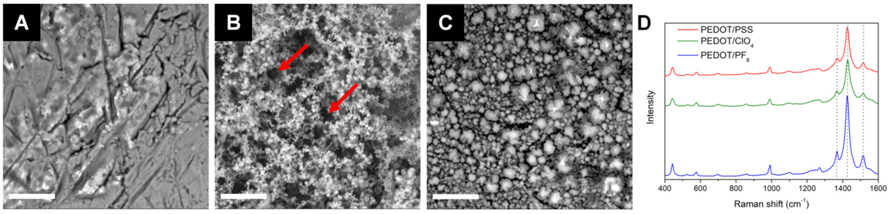 Polymers 13 01948 g002