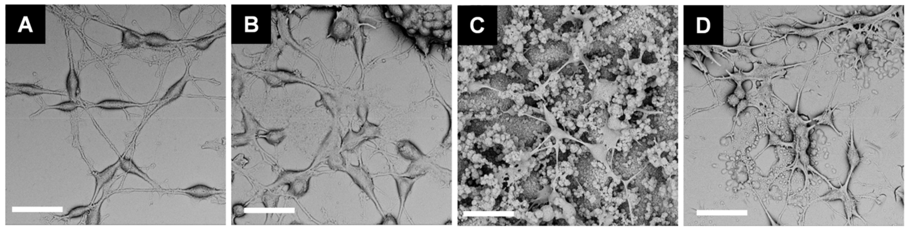 Polymers 13 01948 g006