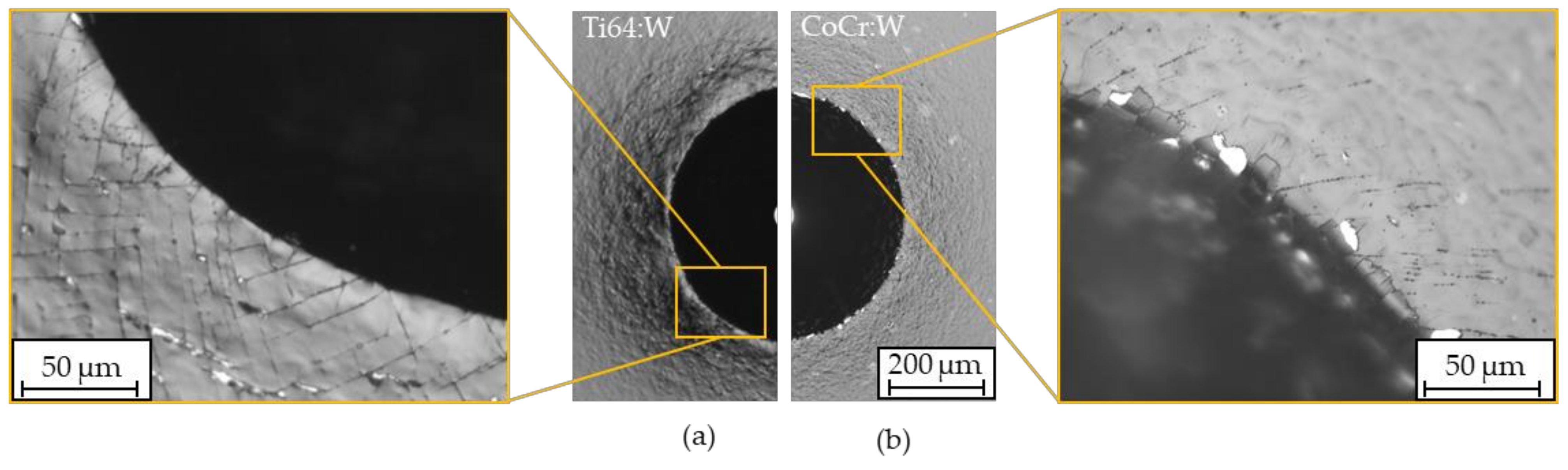 Polymers 13 01952 g013 Polymers 13 01952 g013