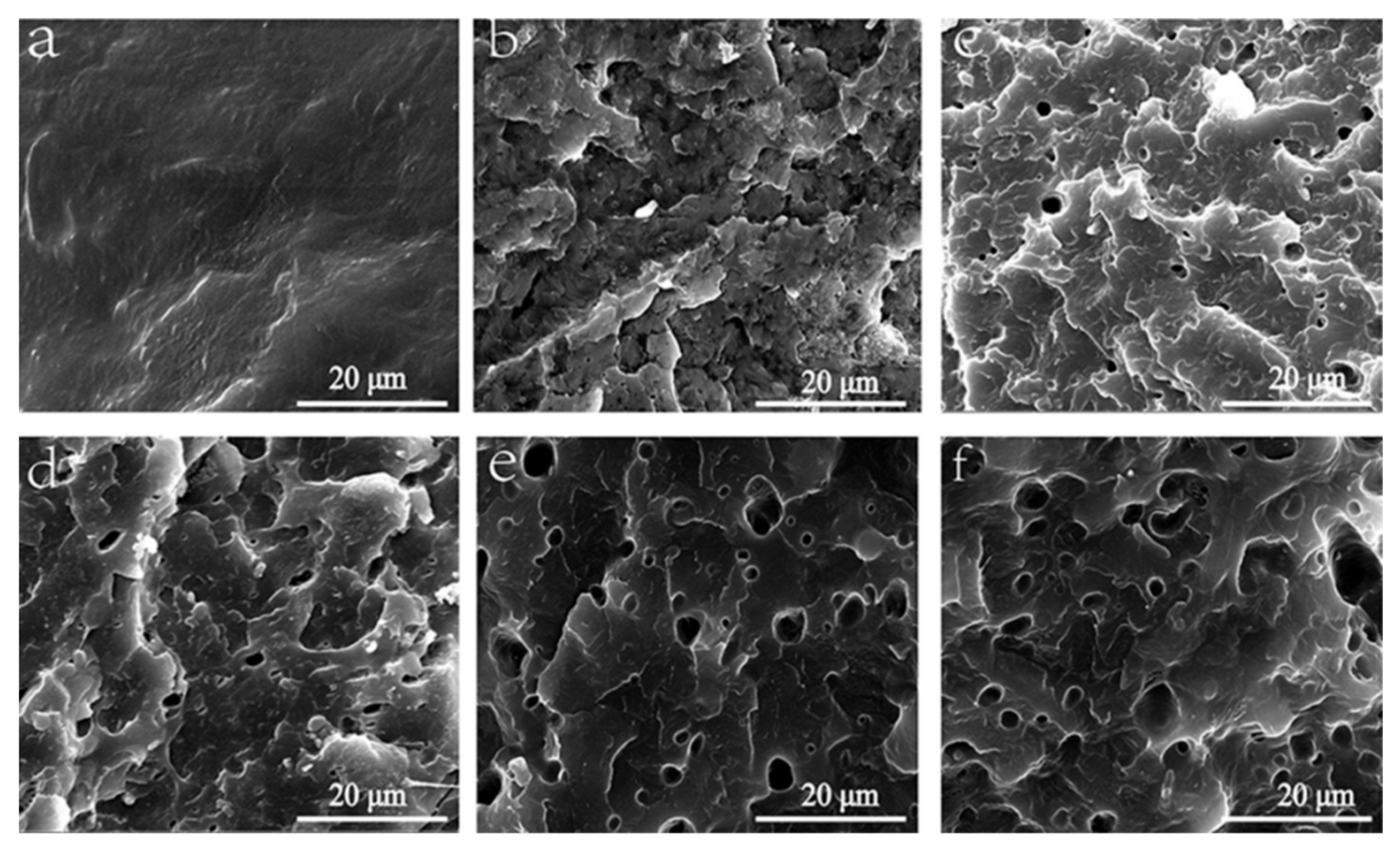 Polymers 13 01954 g003 Polymers 13 01954 g003