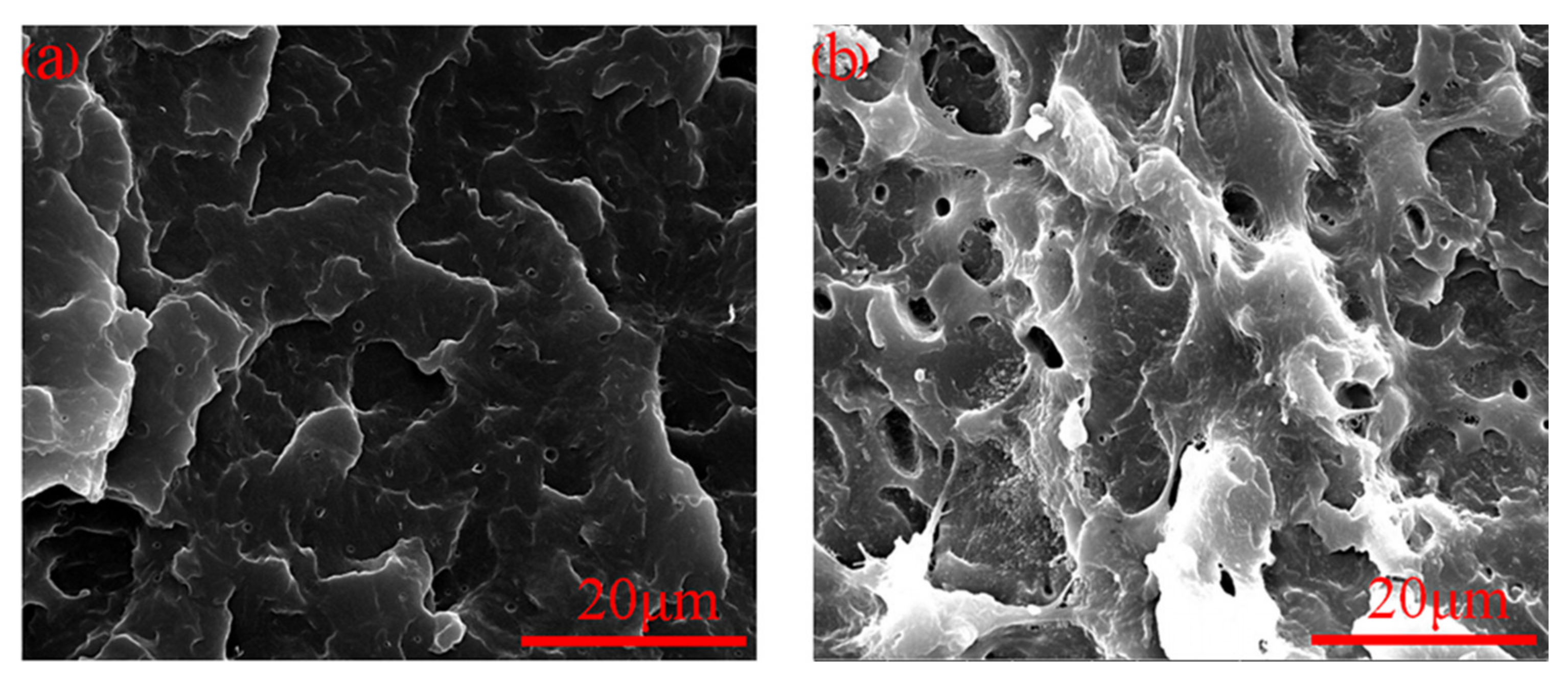 Polymers 13 01954 g007 Polymers 13 01954 g007
