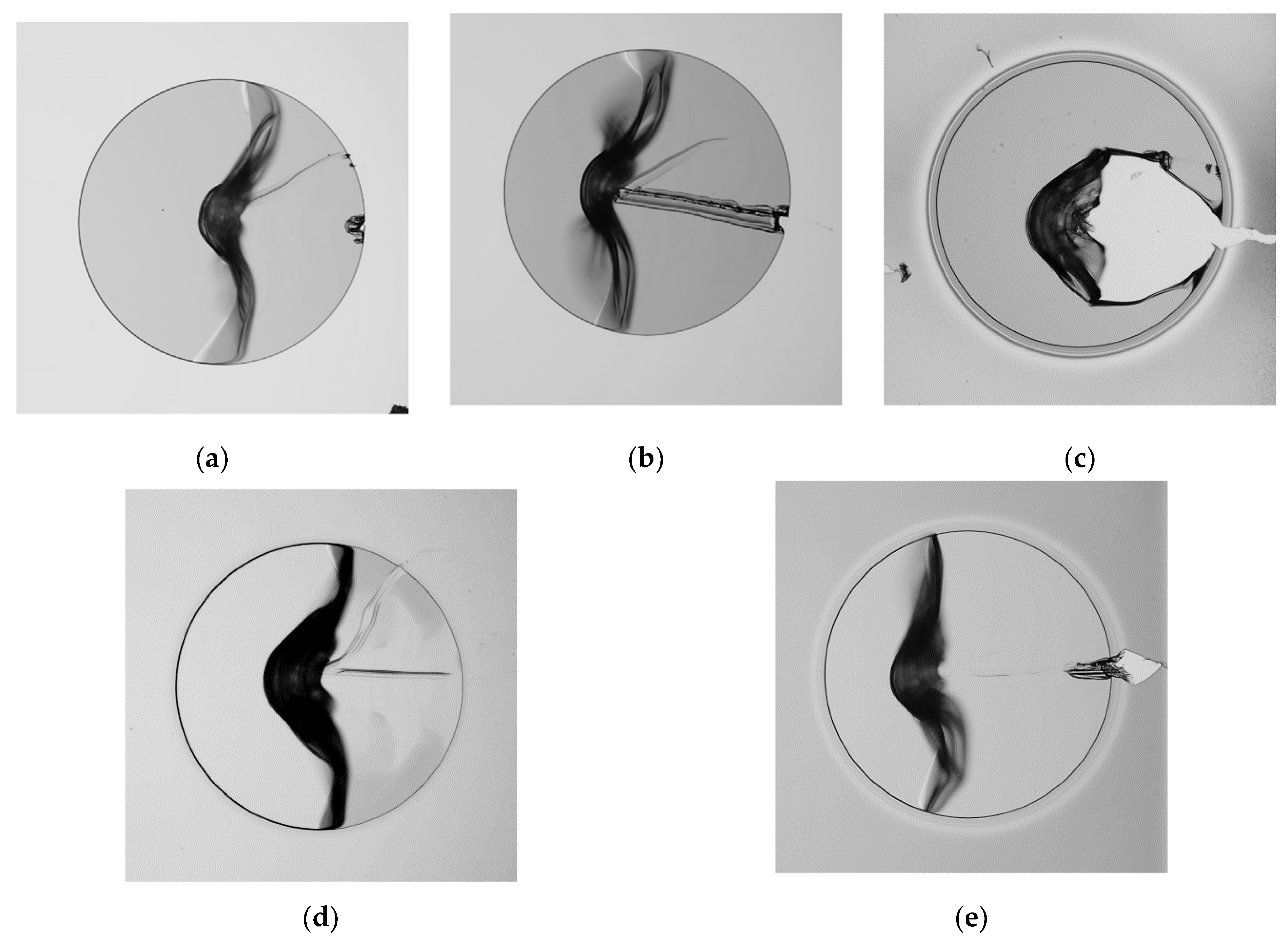 Polymers 13 01955 g004