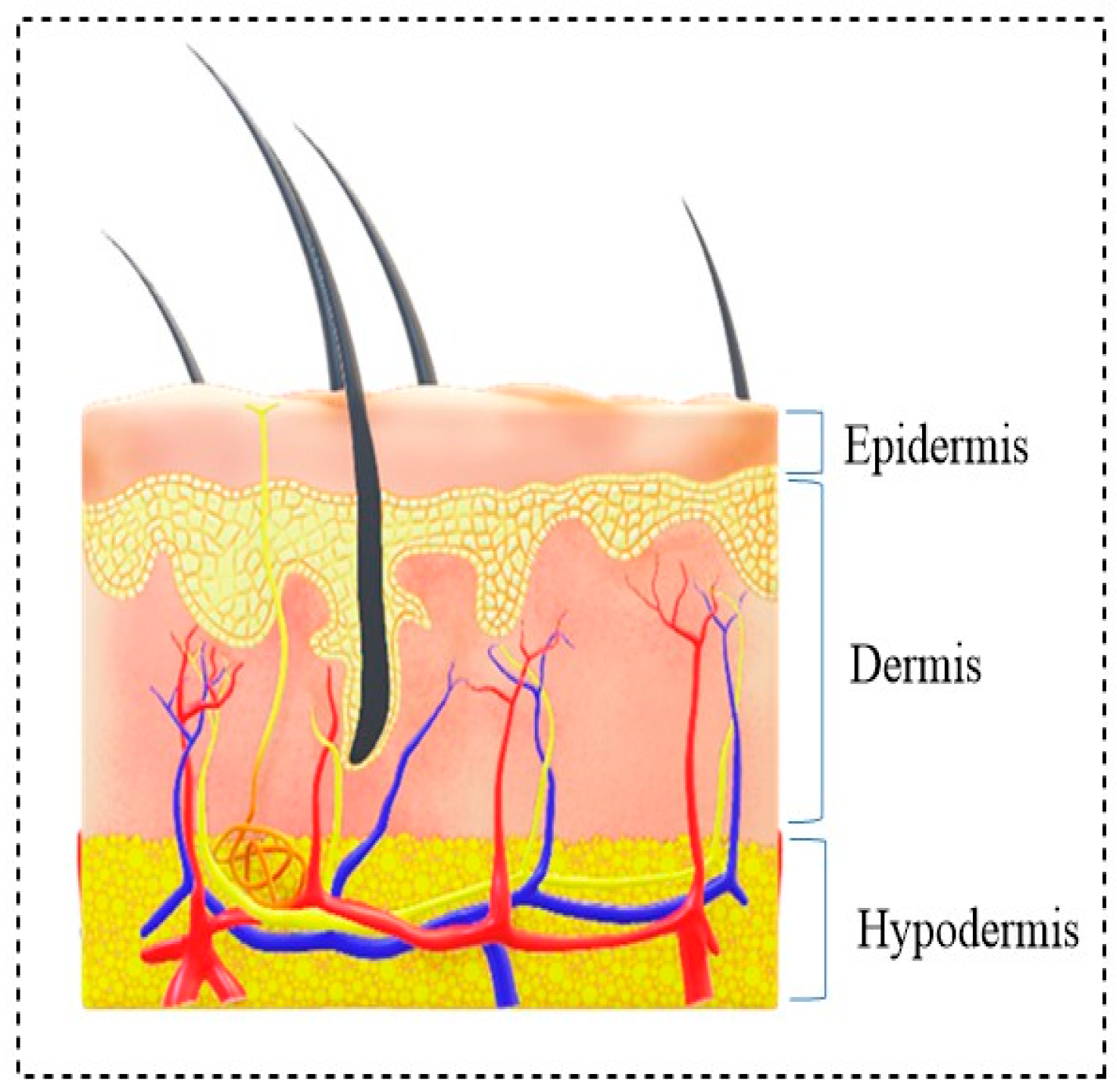 Polymers 13 01962 g001 Polymers 13 01962 g001