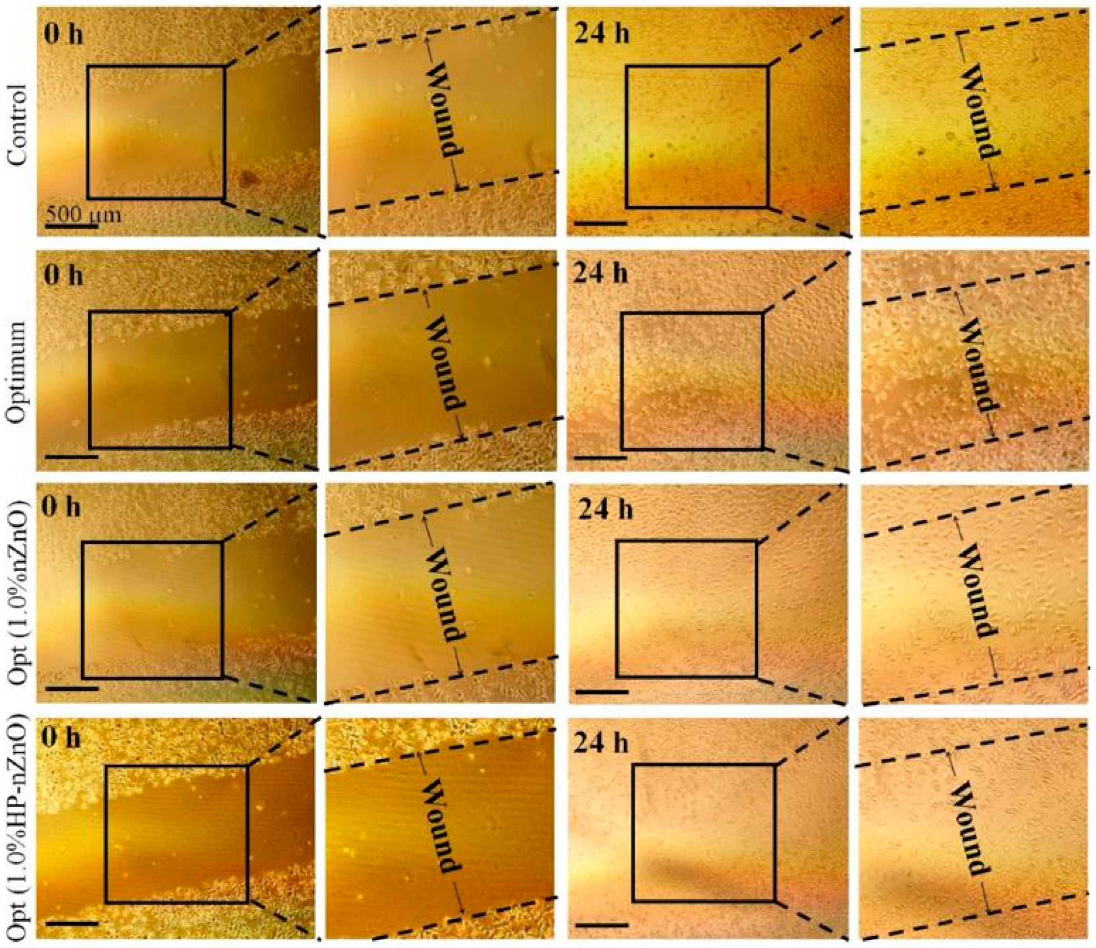Polymers 13 01962 g003 Polymers 13 01962 g003