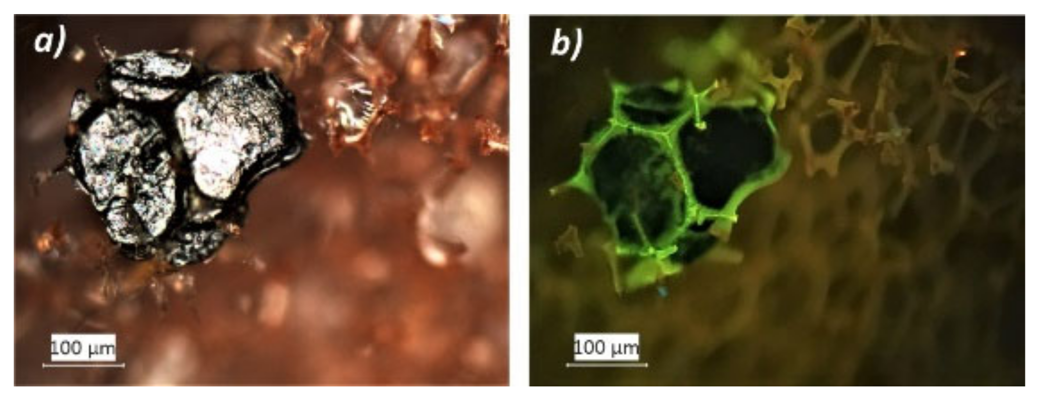 Polymers 13 01964 g004 Polymers 13 01964 g004