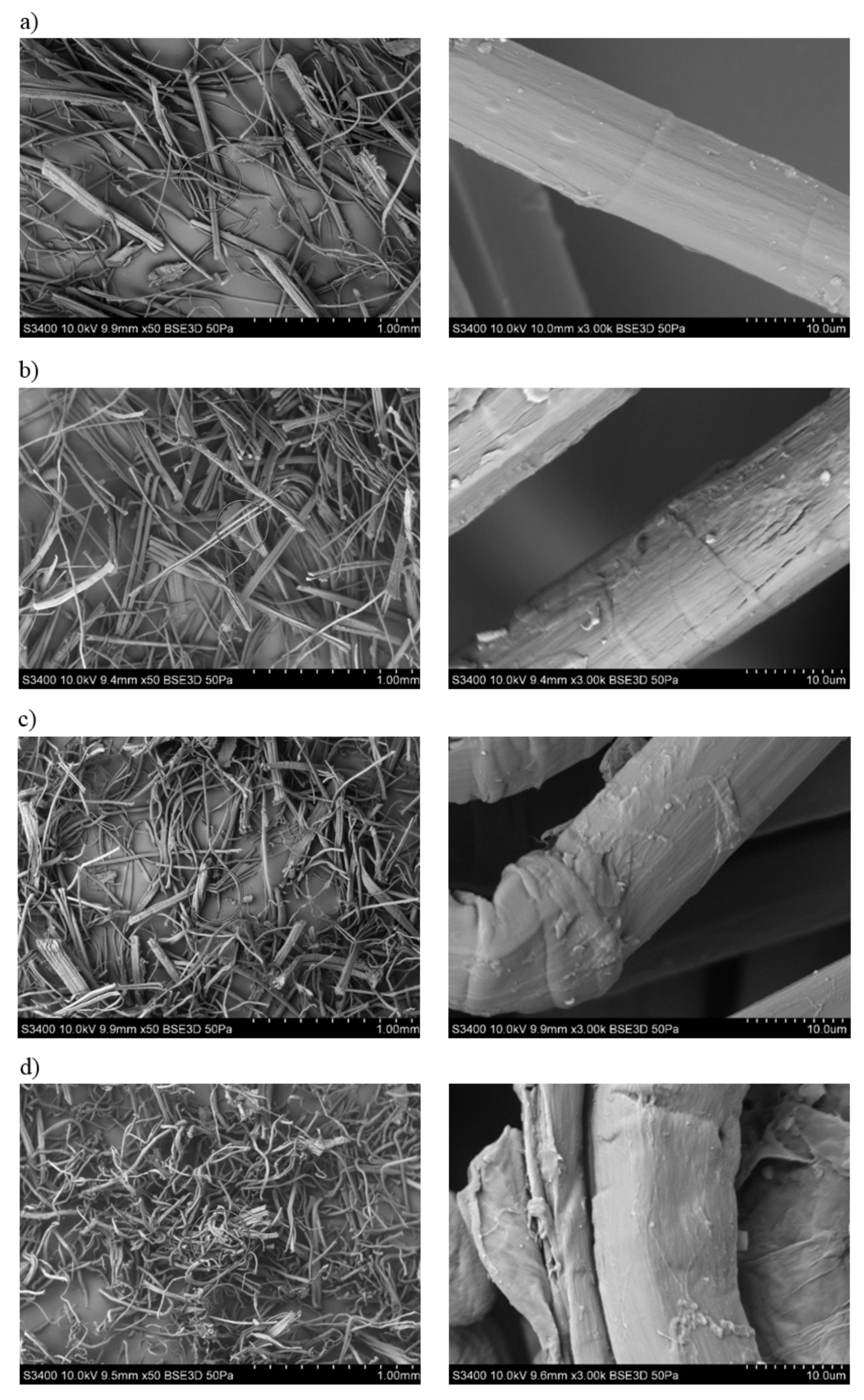 Polymers 13 01965 g004 Polymers 13 01965 g004