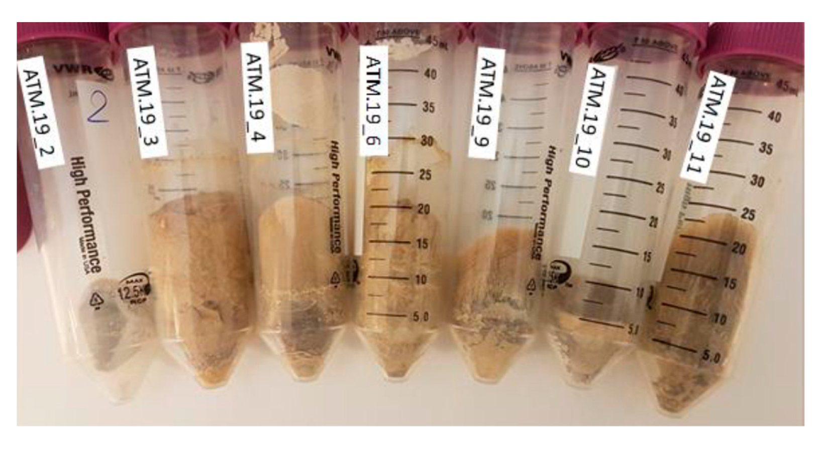 Polymers 13 01966 g002