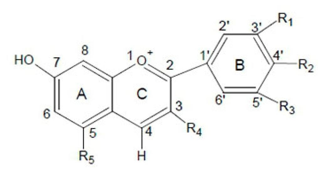 Polymers 13 01966 sch001