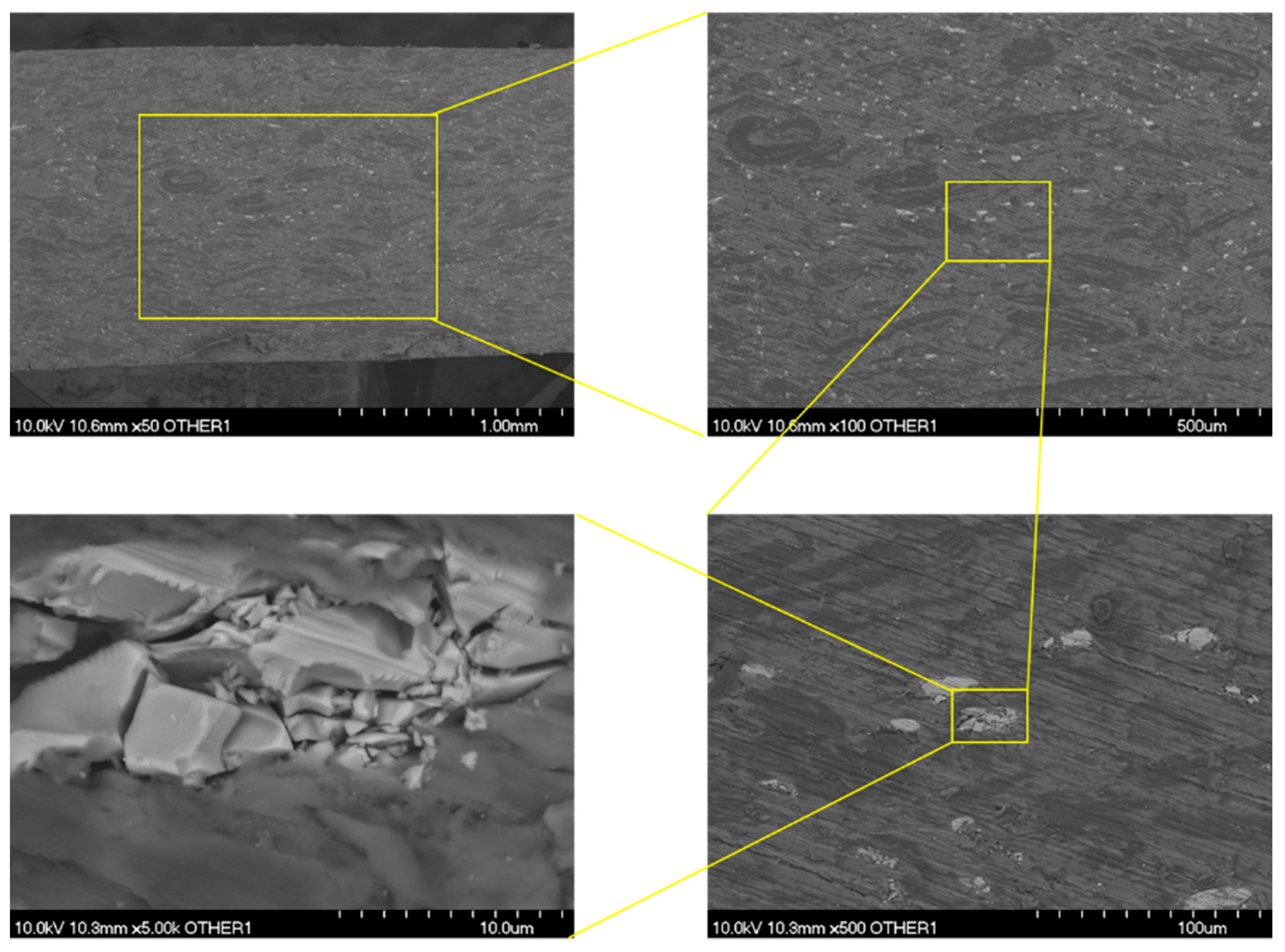 Polymers 13 01970 g005 Polymers 13 01970 g005