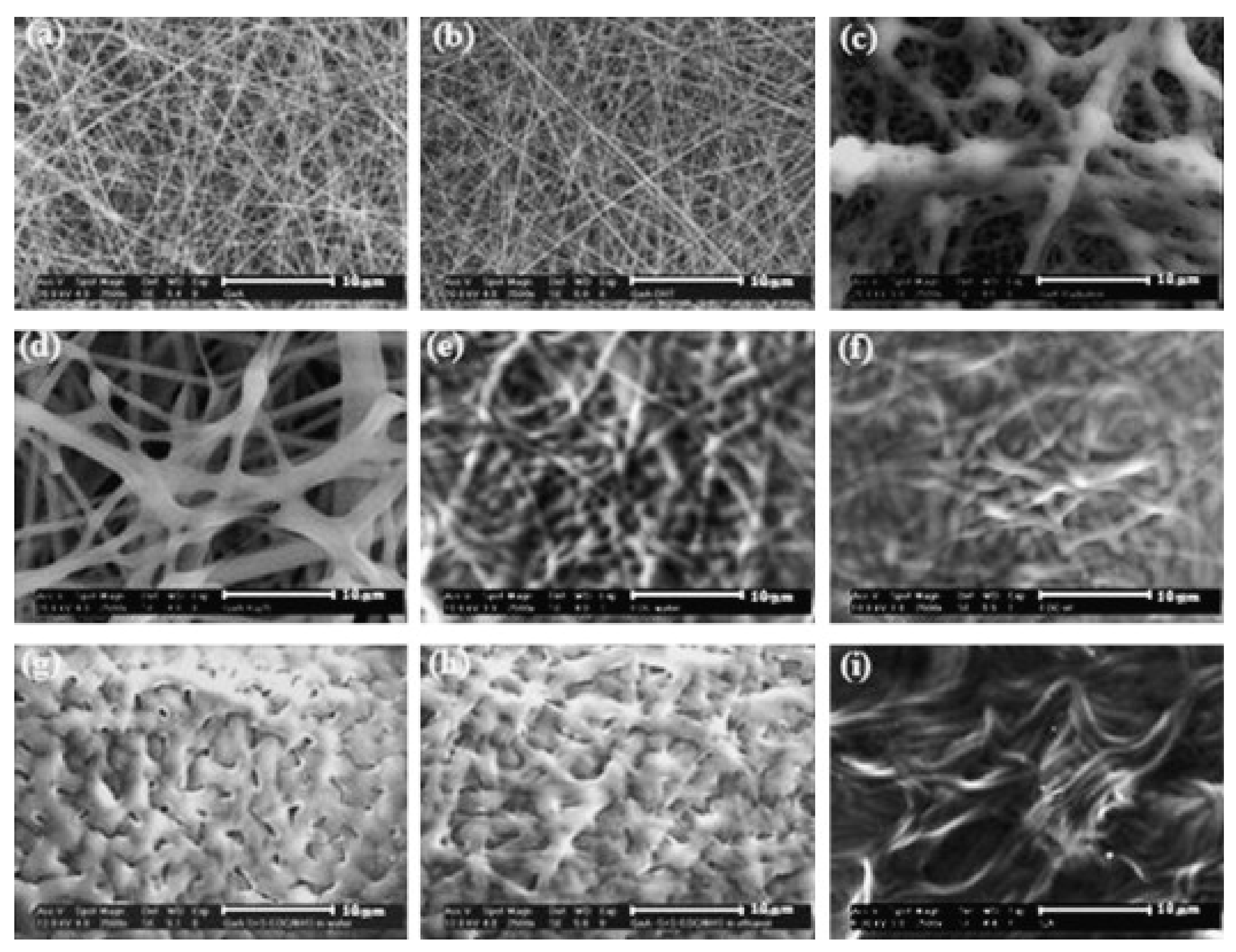 Polymers 13 01973 g004 Polymers 13 01973 g004