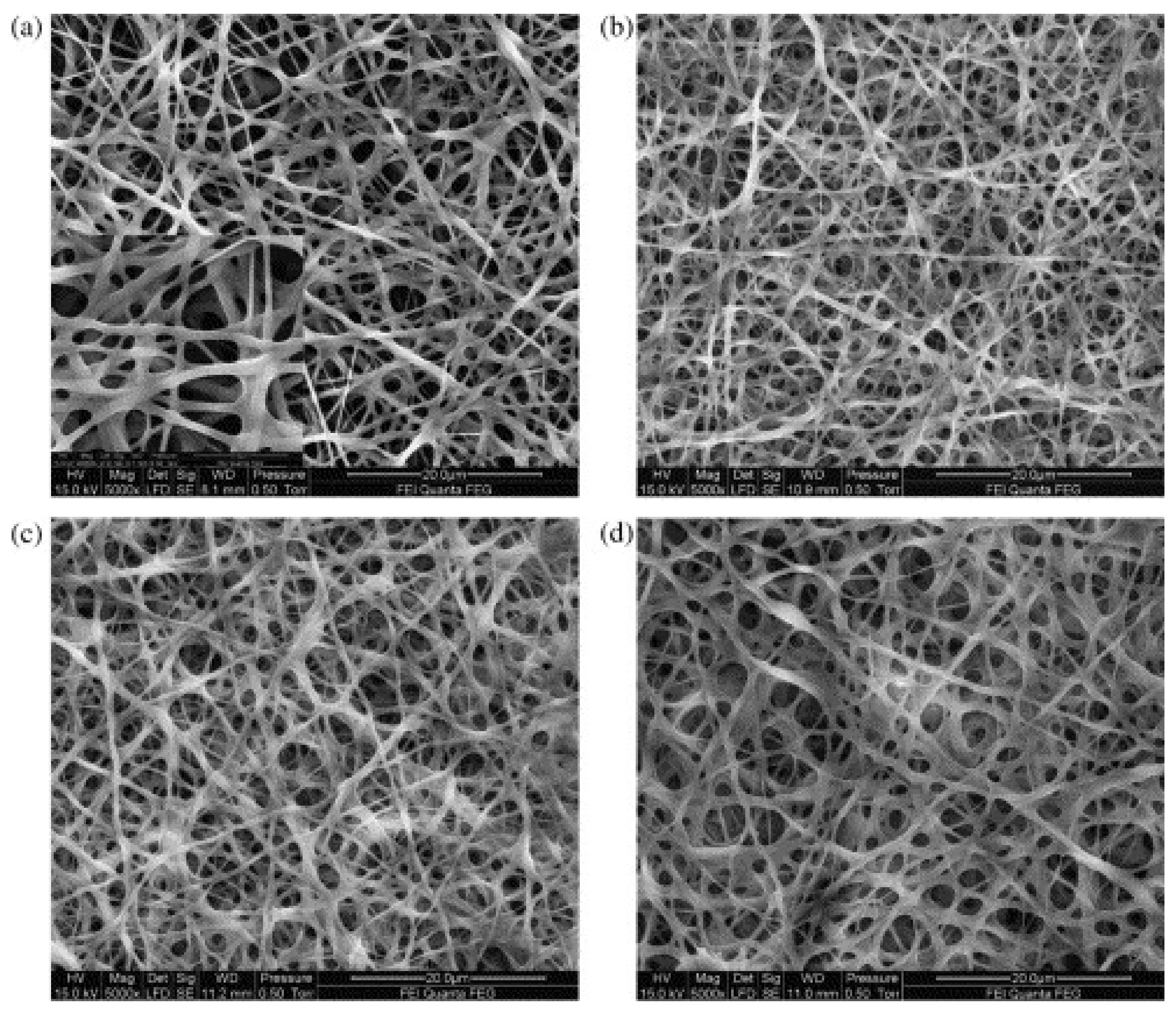 Polymers 13 01973 g005 Polymers 13 01973 g005