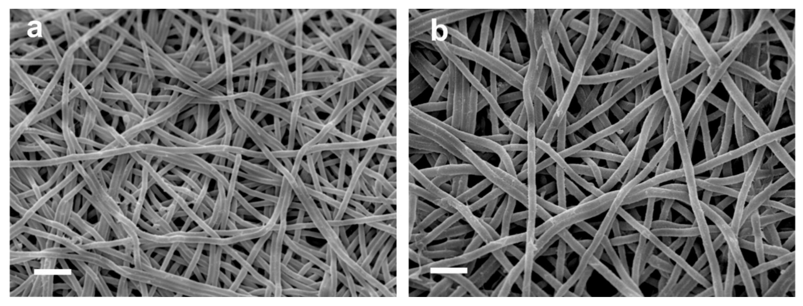 Polymers 13 01973 g009 Polymers 13 01973 g009