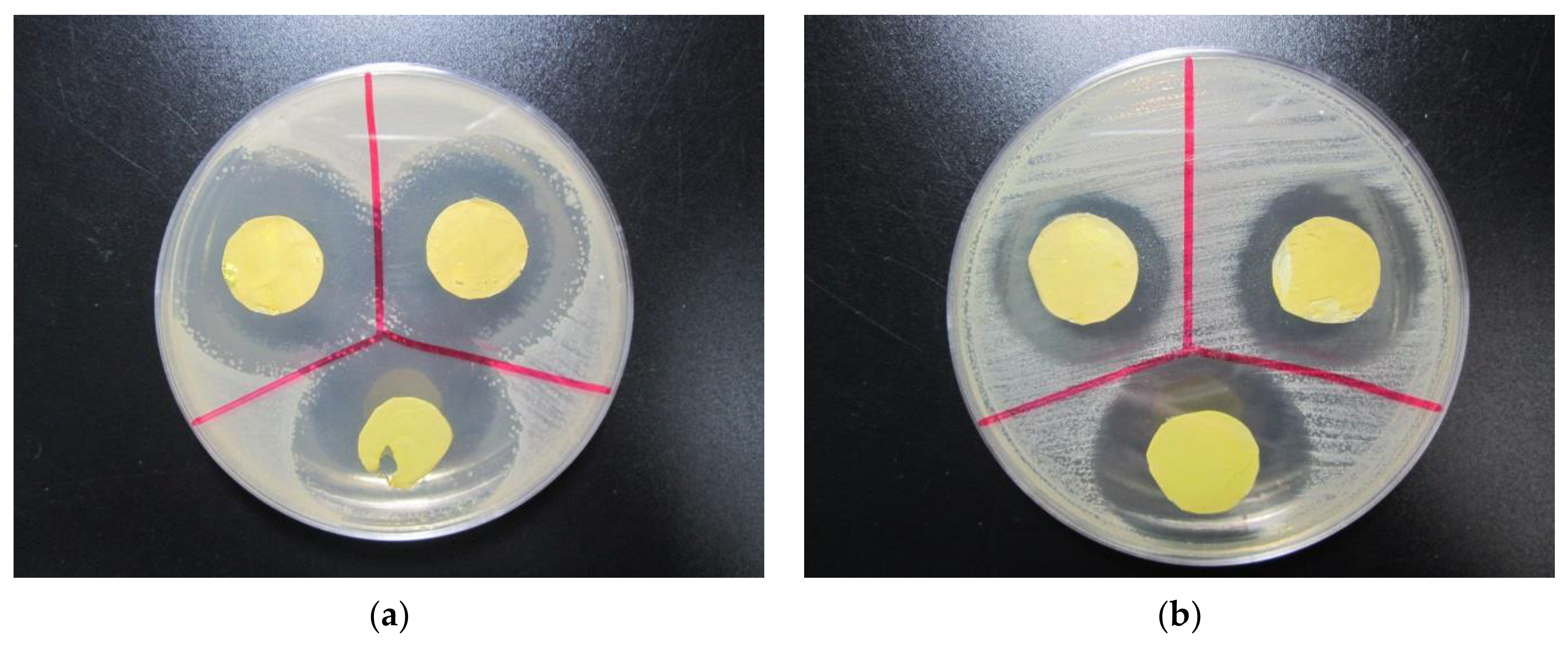 Polymers 13 01973 g010 Polymers 13 01973 g010