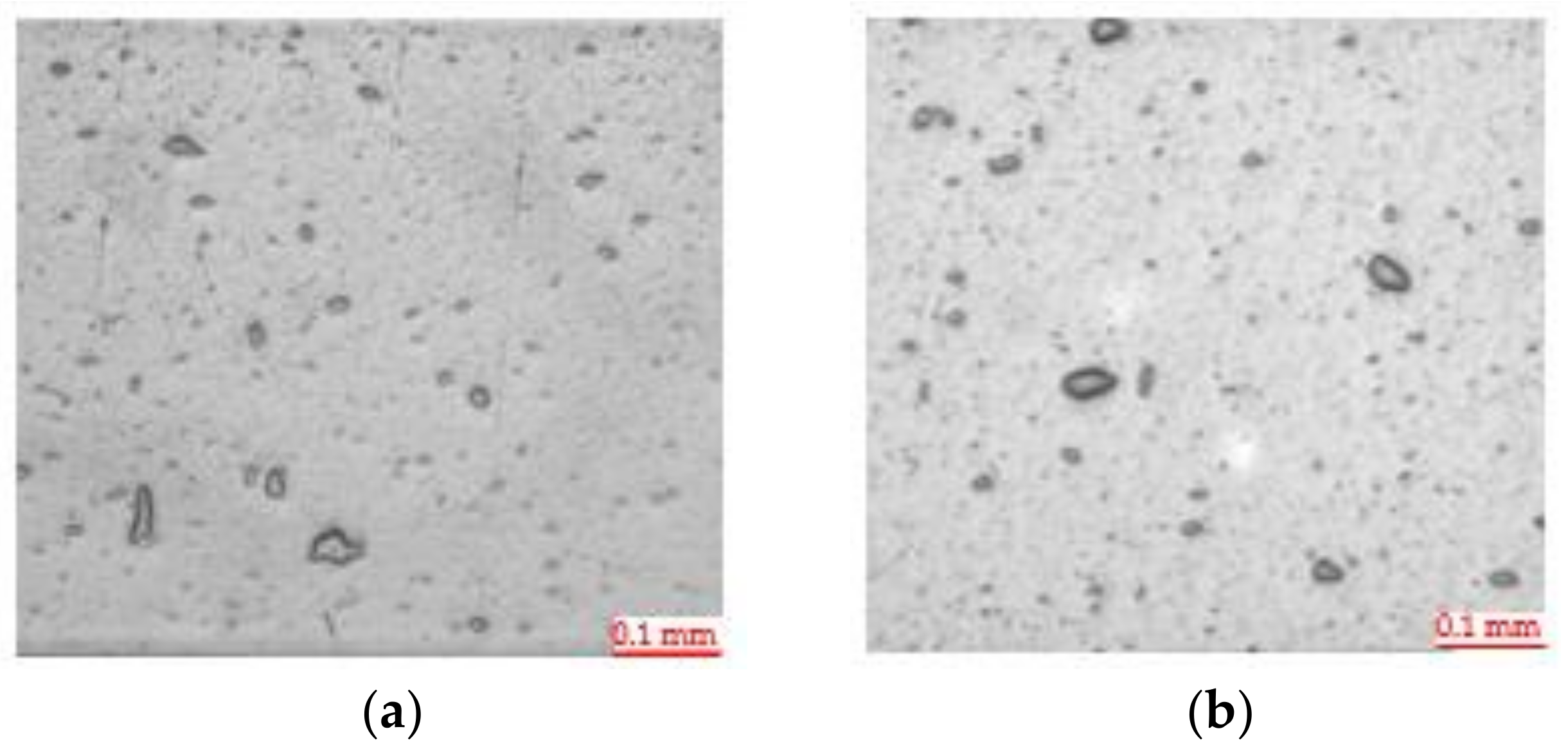 Polymers 13 01974 g008 Polymers 13 01974 g008
