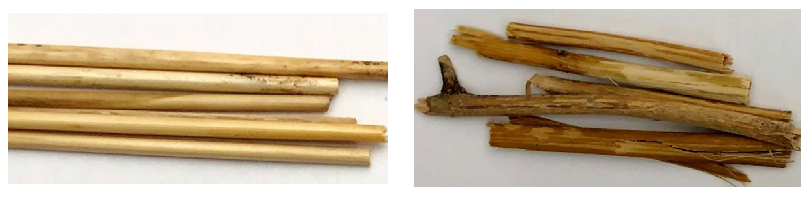 Polymers 13 01975 g001 Polymers 13 01975 g001