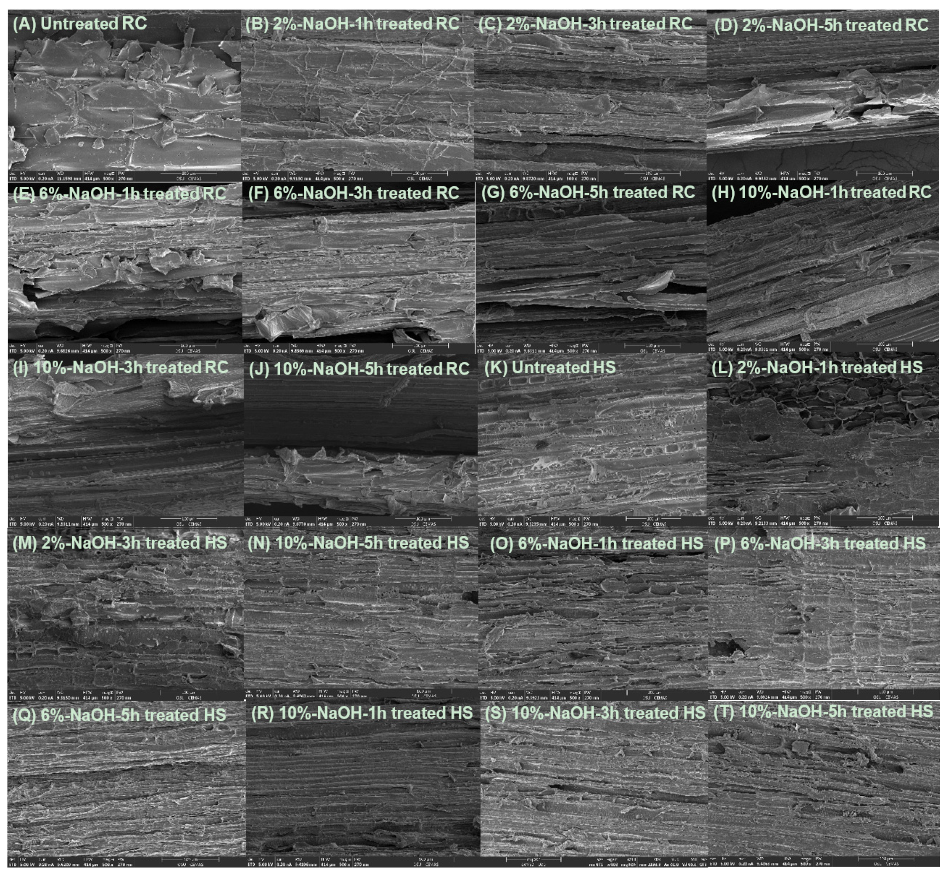 Polymers 13 01975 g003 Polymers 13 01975 g003