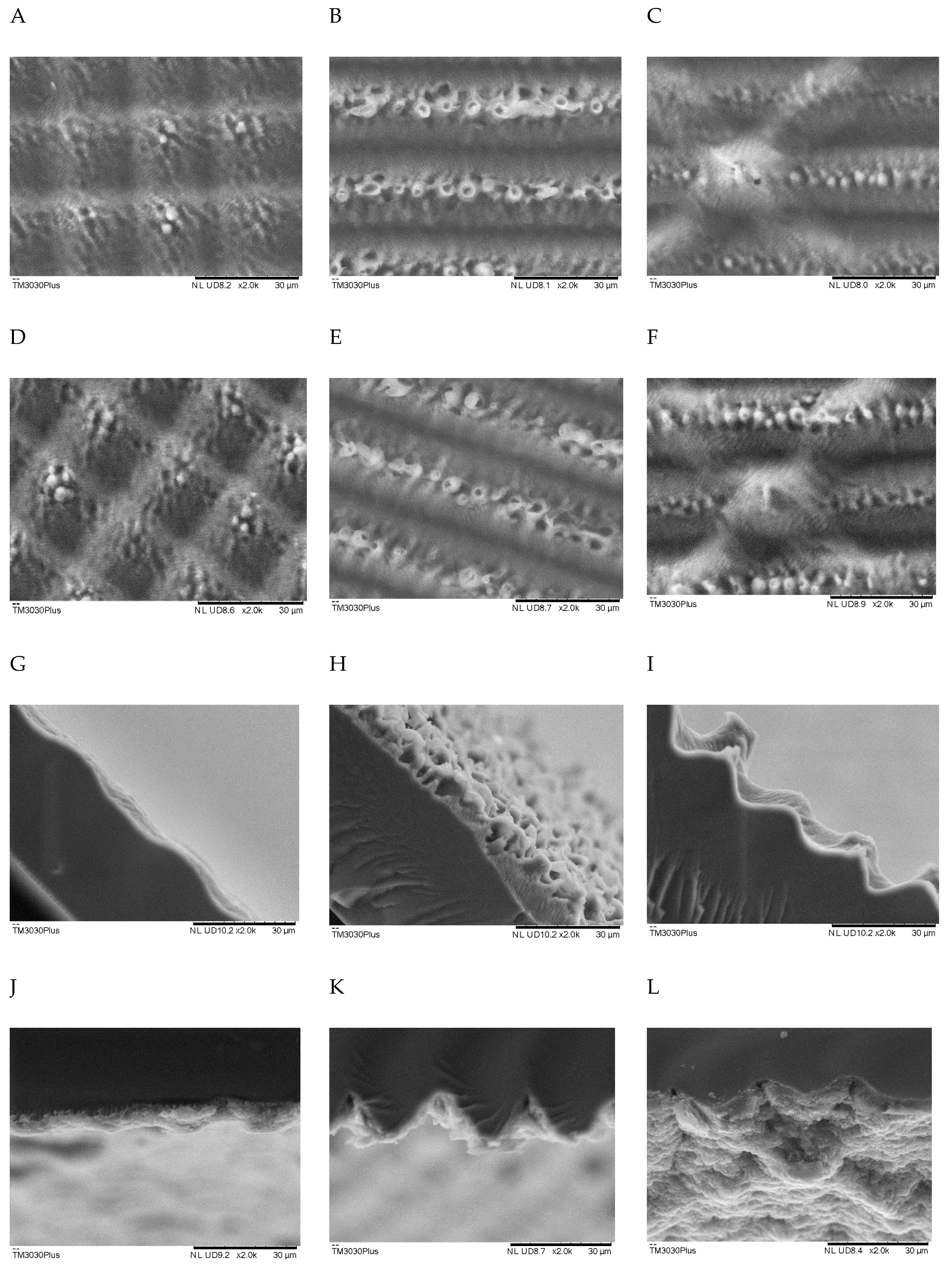Polymers 13 01976 g001 Polymers 13 01976 g001