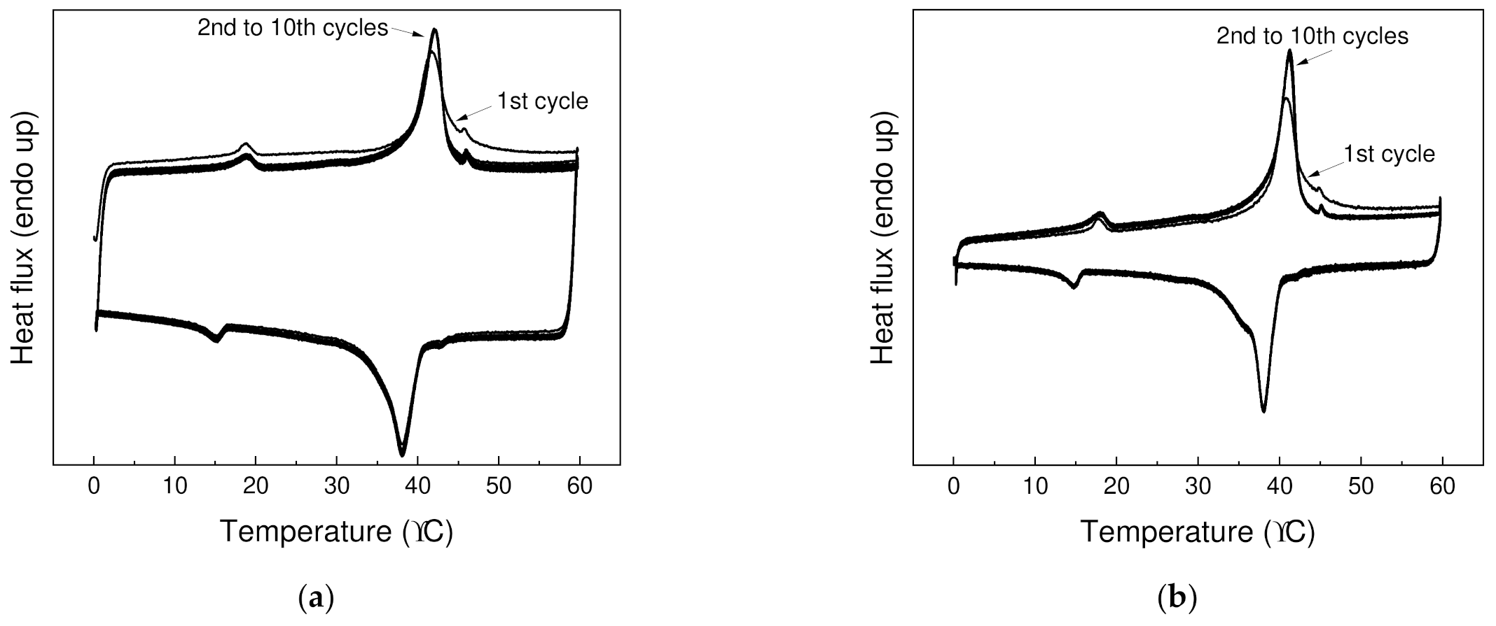 Polymers 13 01987 g005 550