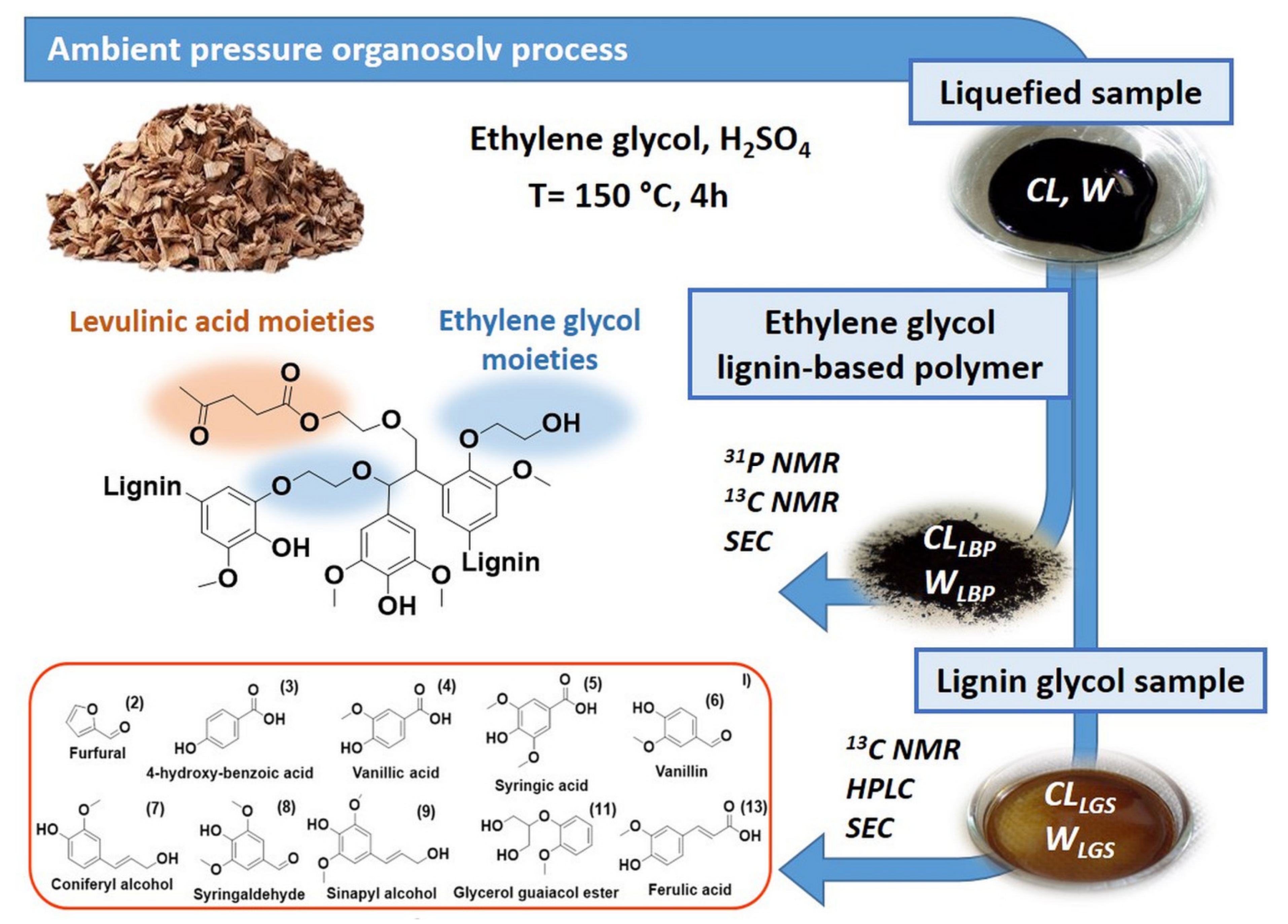 Polymers 13 01988 g001