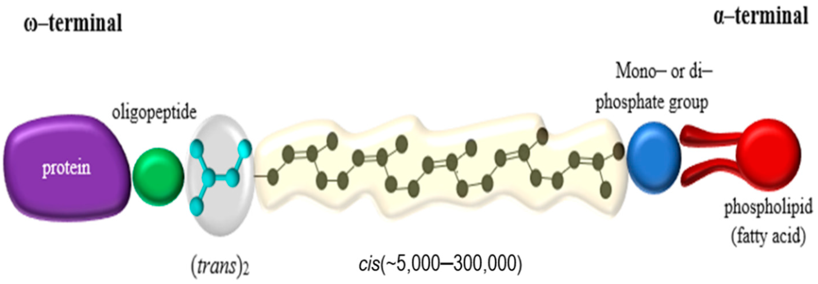 Polymers 13 01989 g001