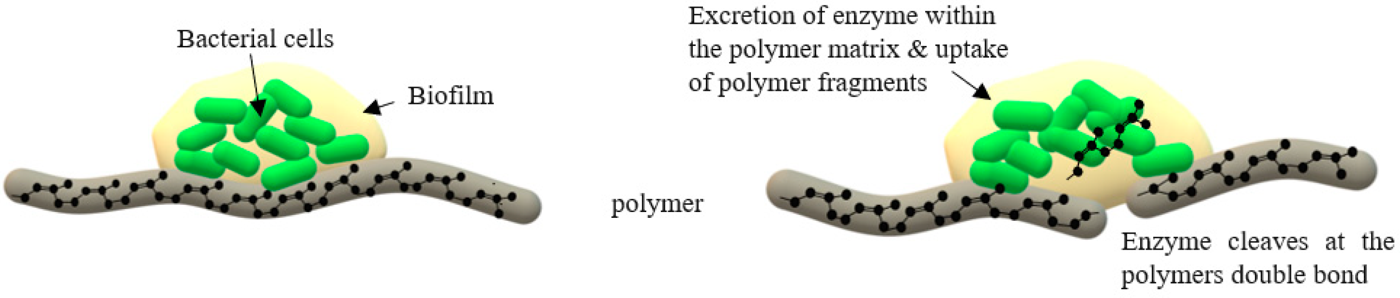 Polymers 13 01989 g003