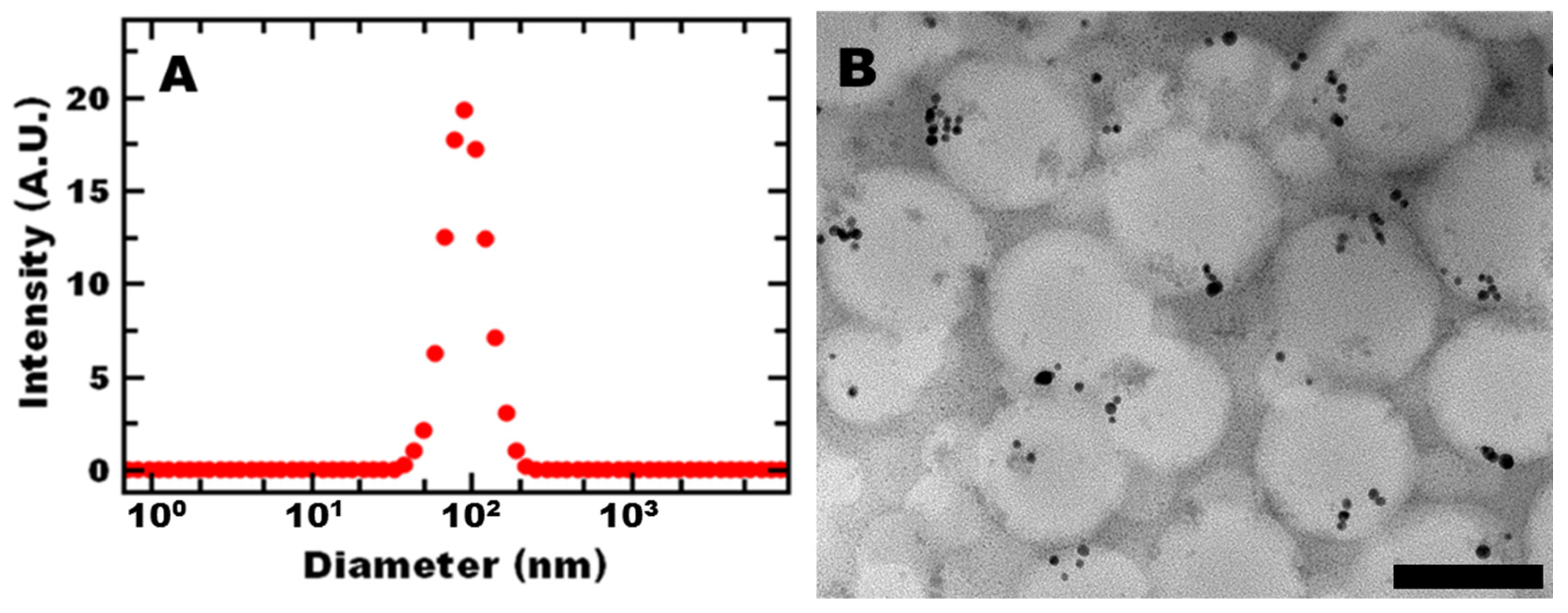Polymers 13 01992 g001