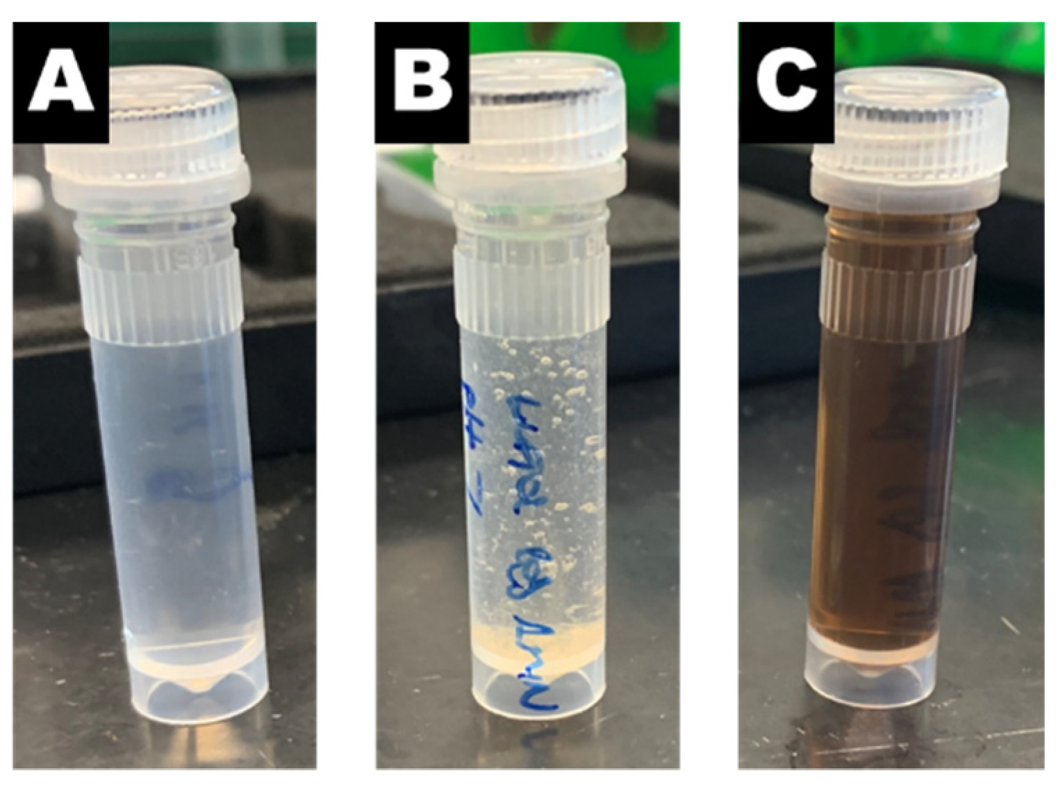 Polymers 13 01992 g003