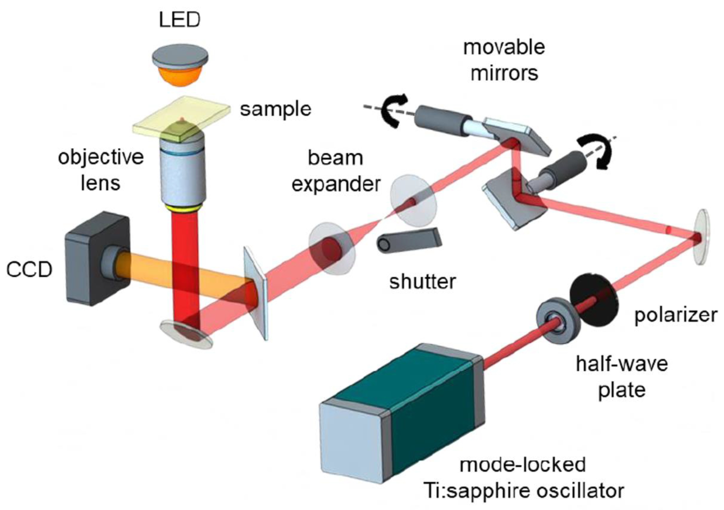 Polymers 13 01994 g005 Polymers 13 01994 g005