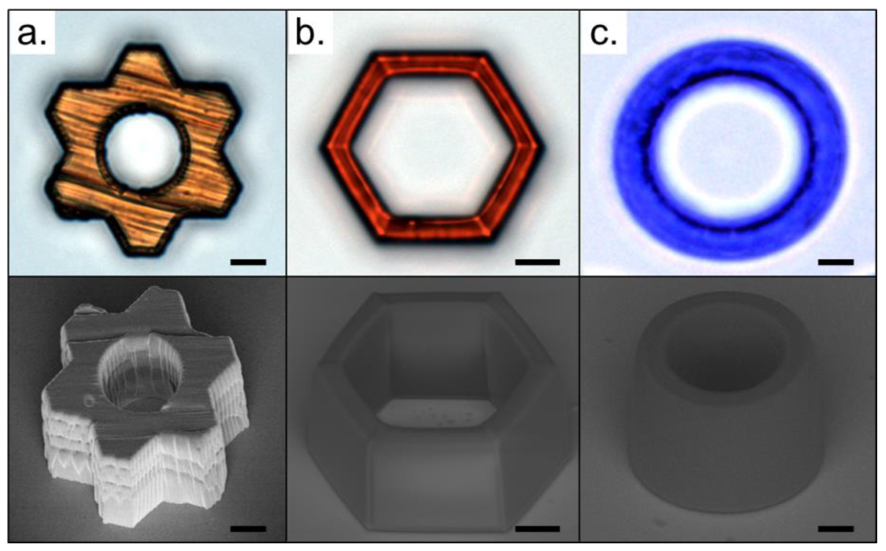 Polymers 13 01994 g006 Polymers 13 01994 g006