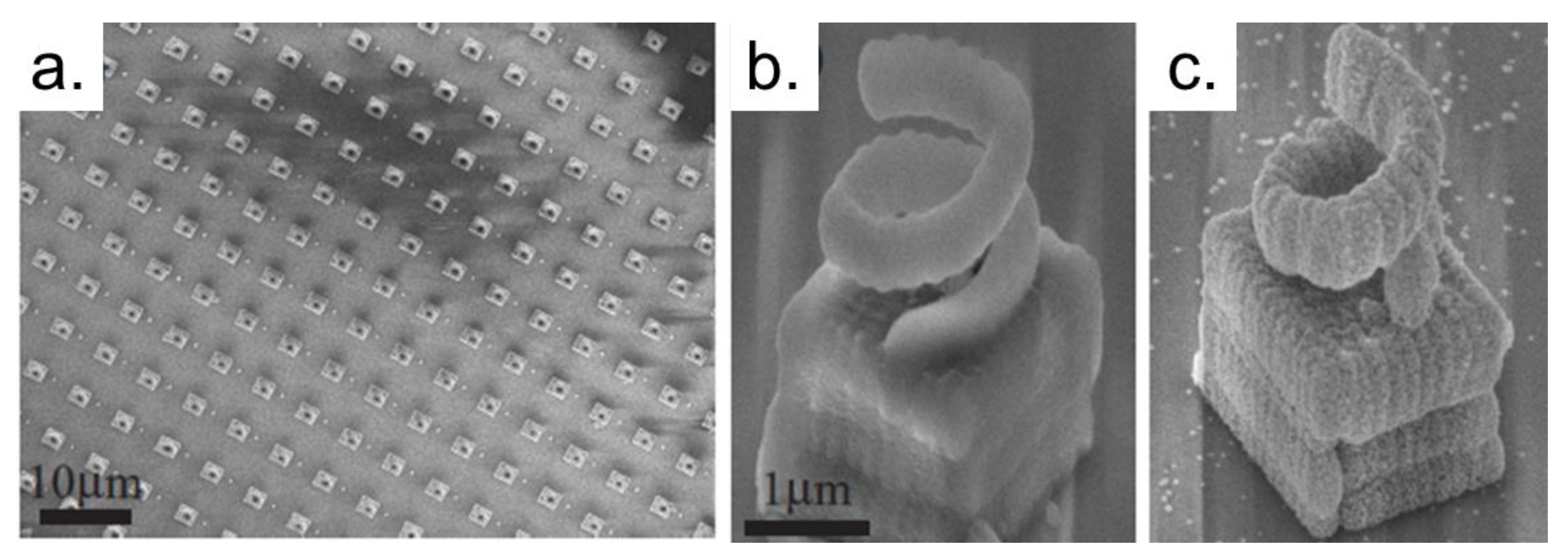 Polymers 13 01994 g008 Polymers 13 01994 g008