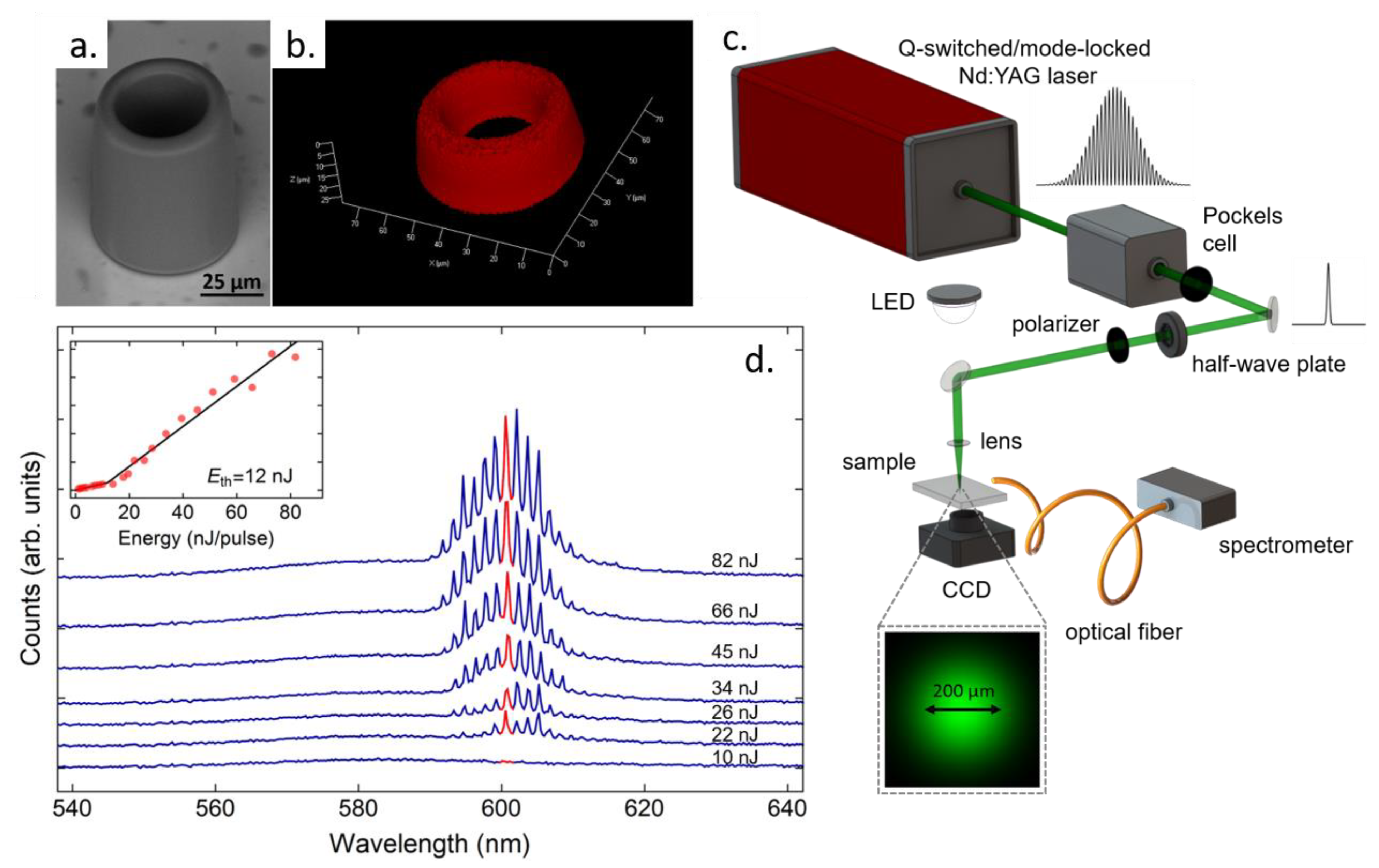 Polymers 13 01994 g014 Polymers 13 01994 g014