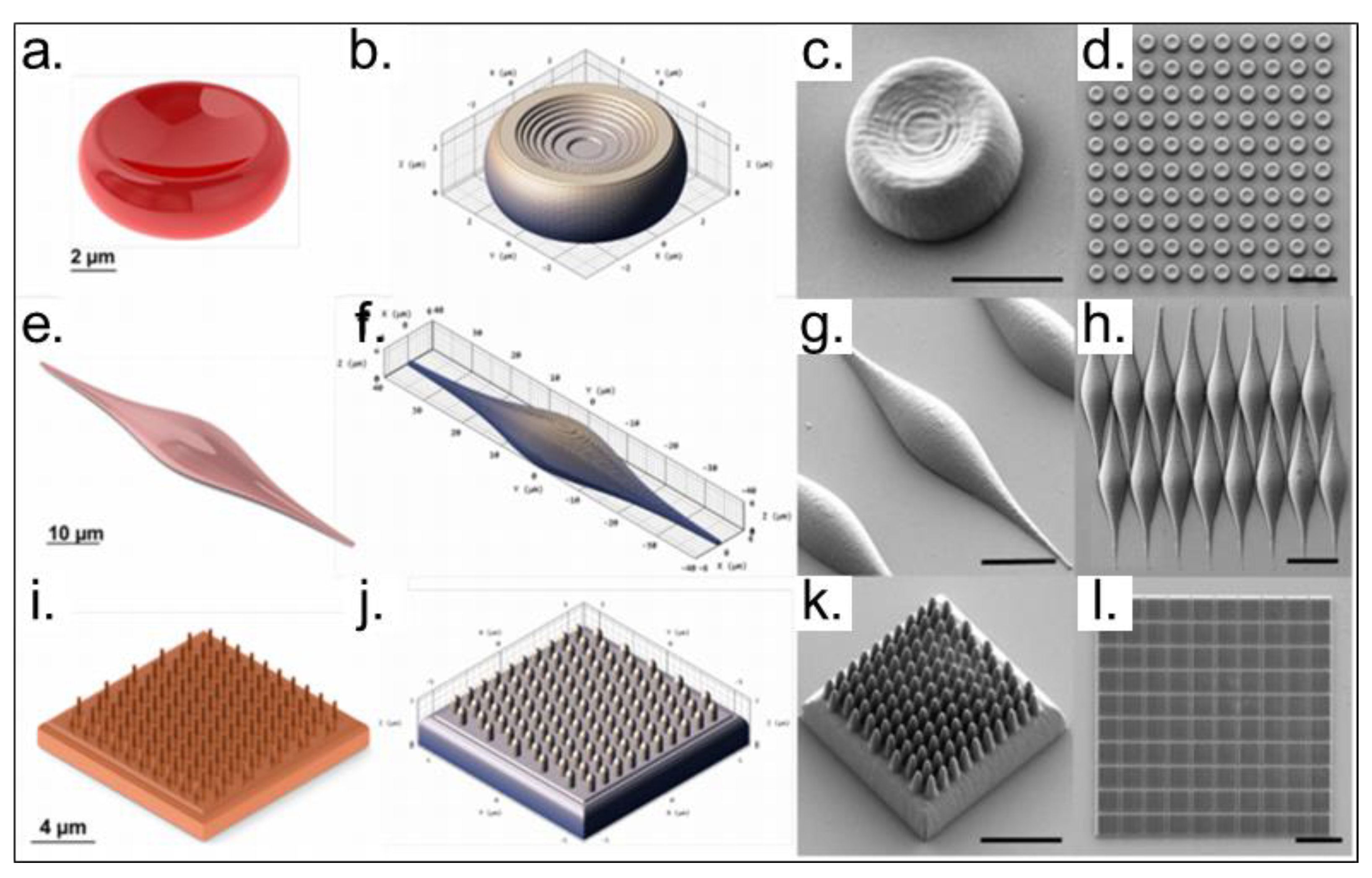 Polymers 13 01994 g016 Polymers 13 01994 g016