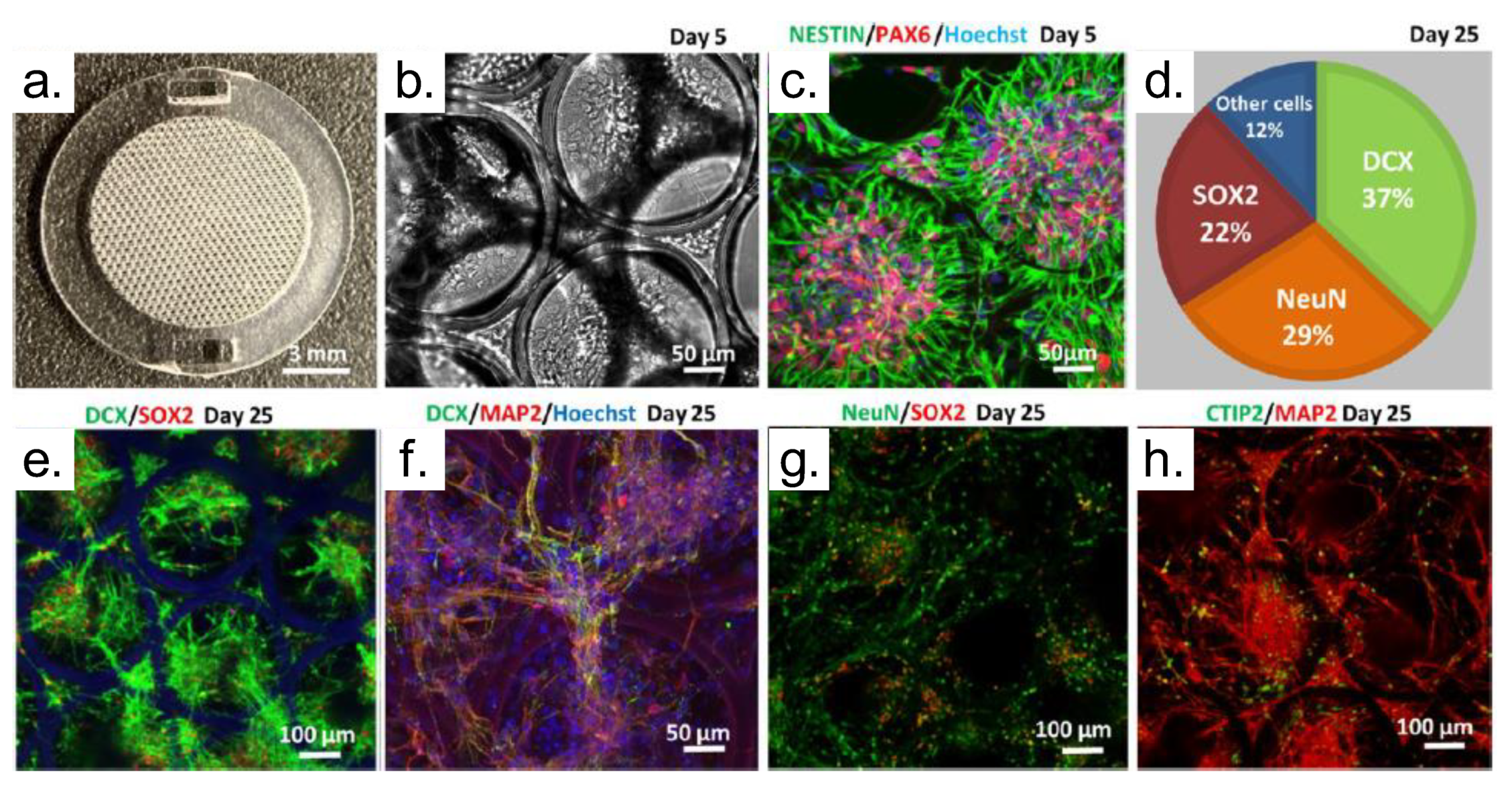 Polymers 13 01994 g018 Polymers 13 01994 g018